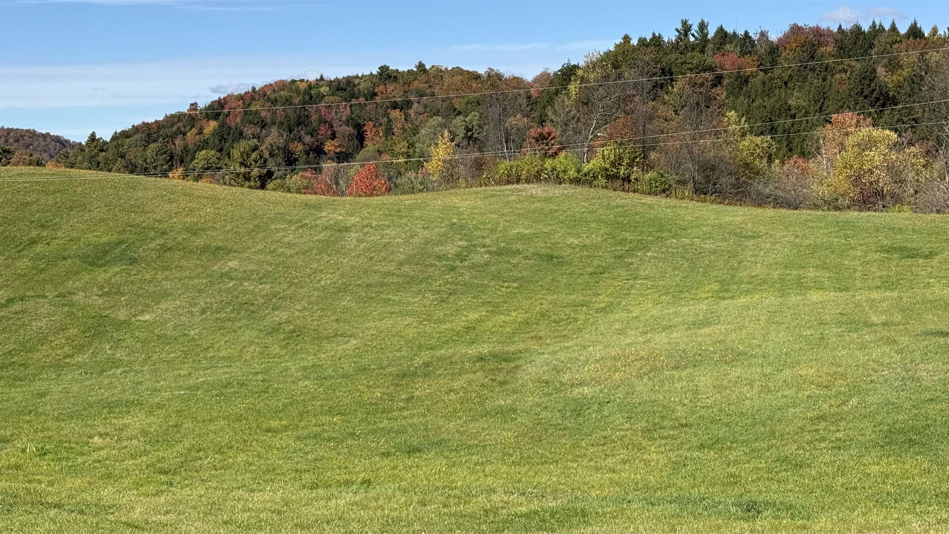 1823 Lost Nation Road Property Photo 41