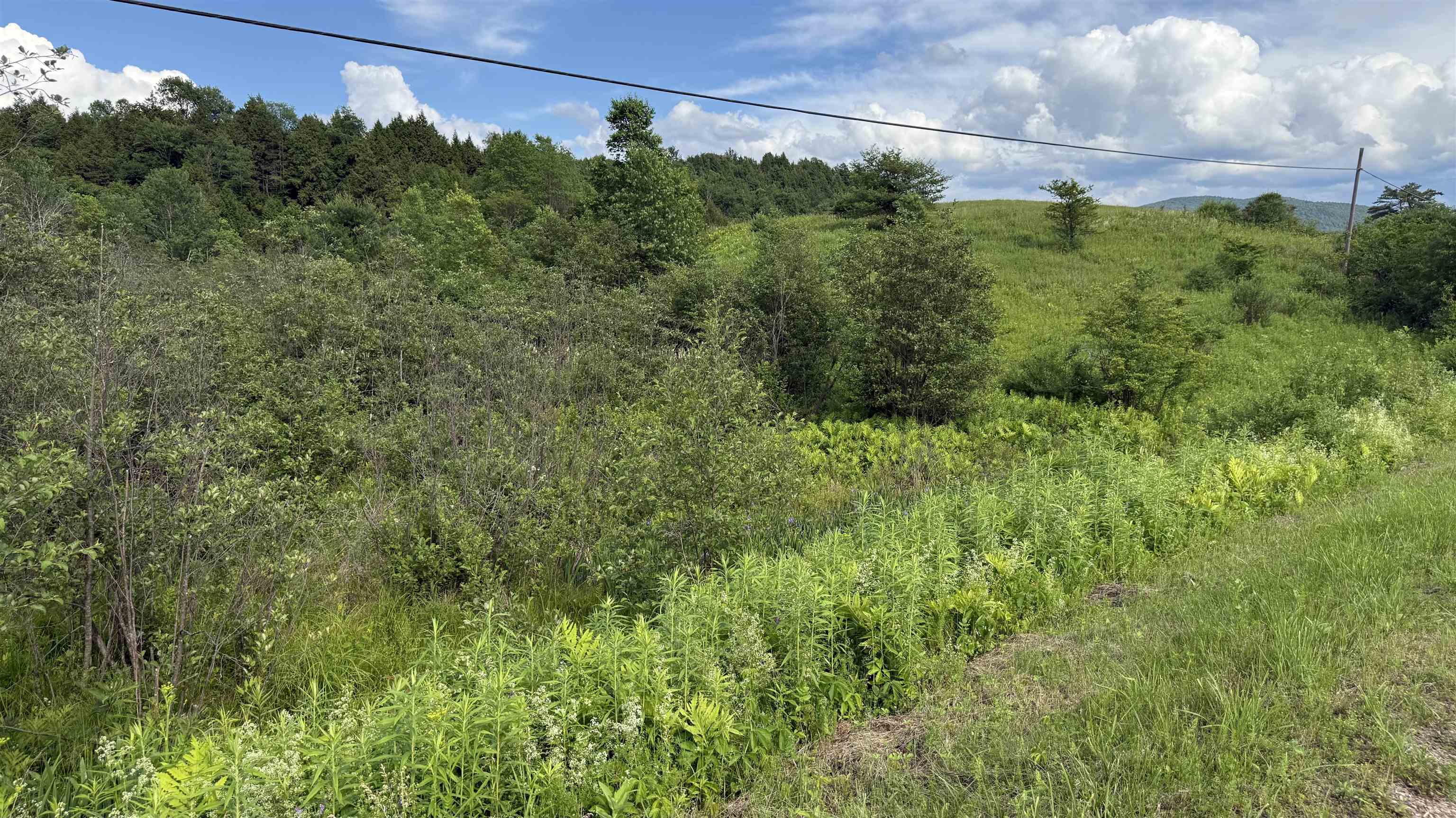 1823 Lost Nation Road Property Photo 42