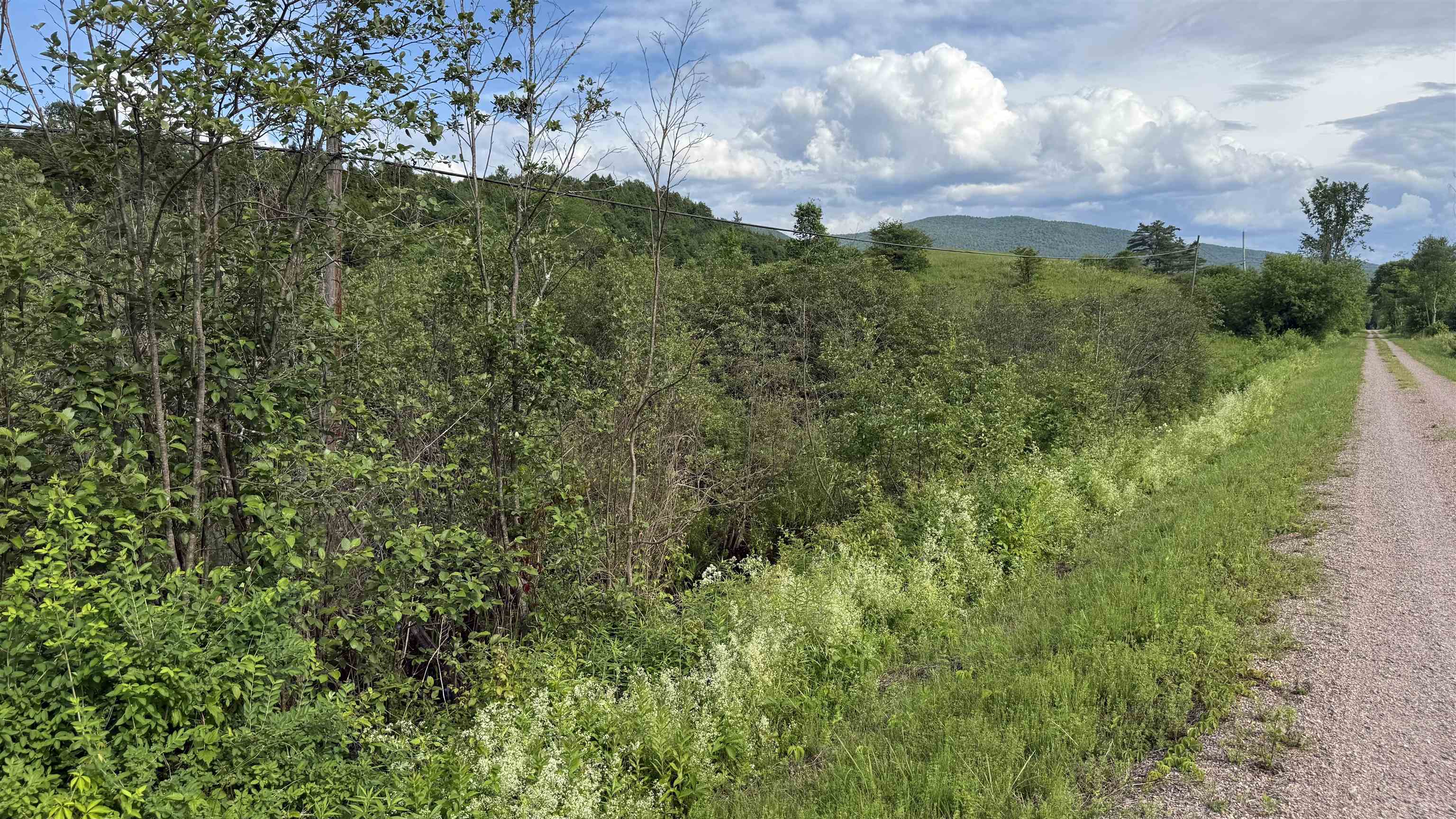 1823 Lost Nation Road Property Photo 46