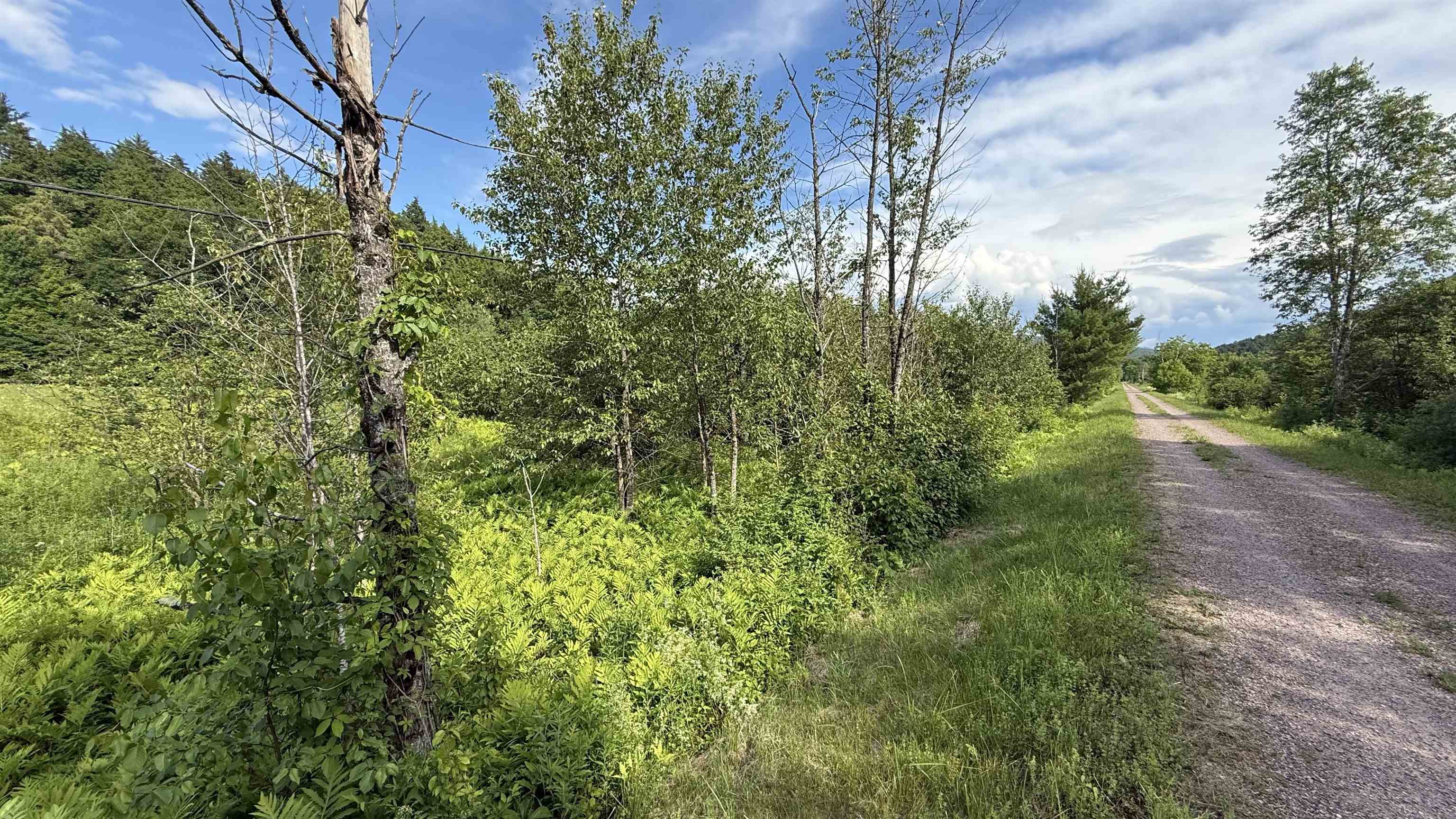 1823 Lost Nation Road Property Photo 47
