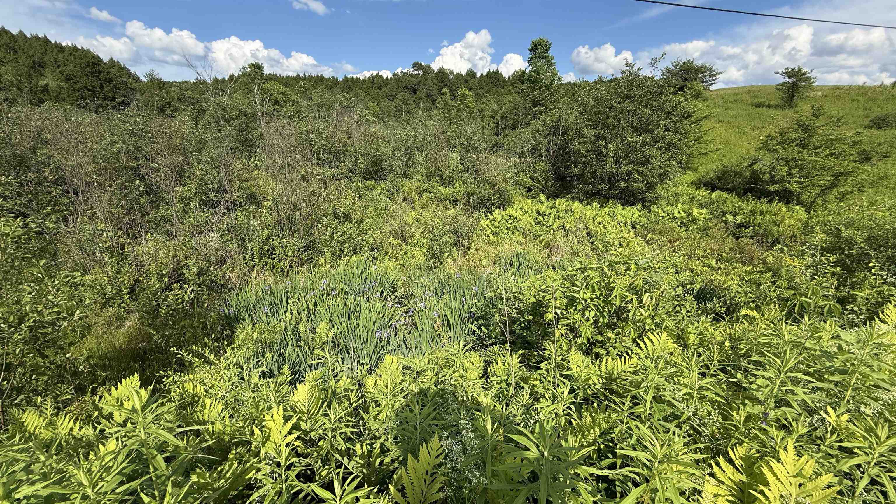 1823 Lost Nation Road Property Photo 48
