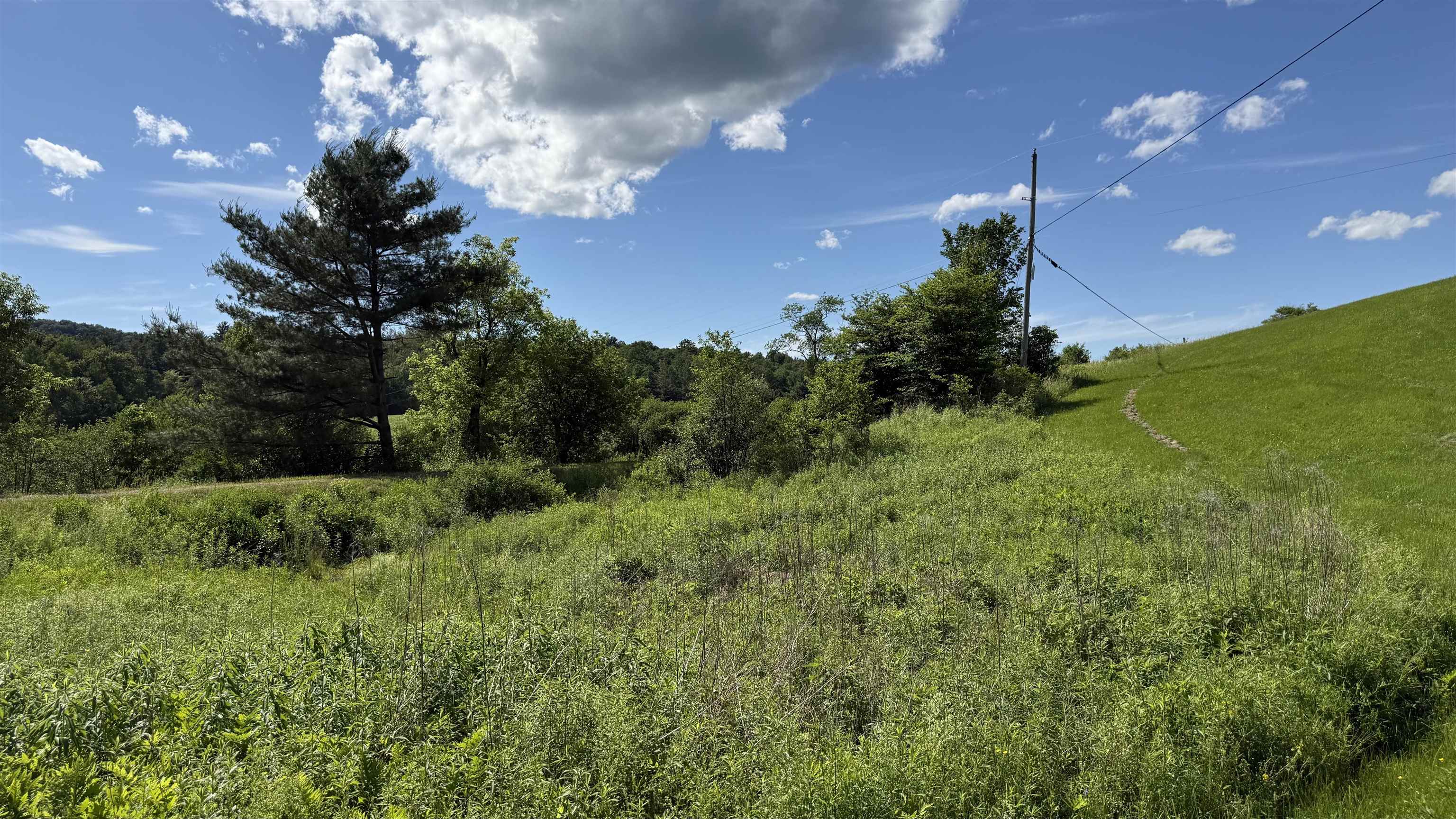 1823 Lost Nation Road Property Photo 49