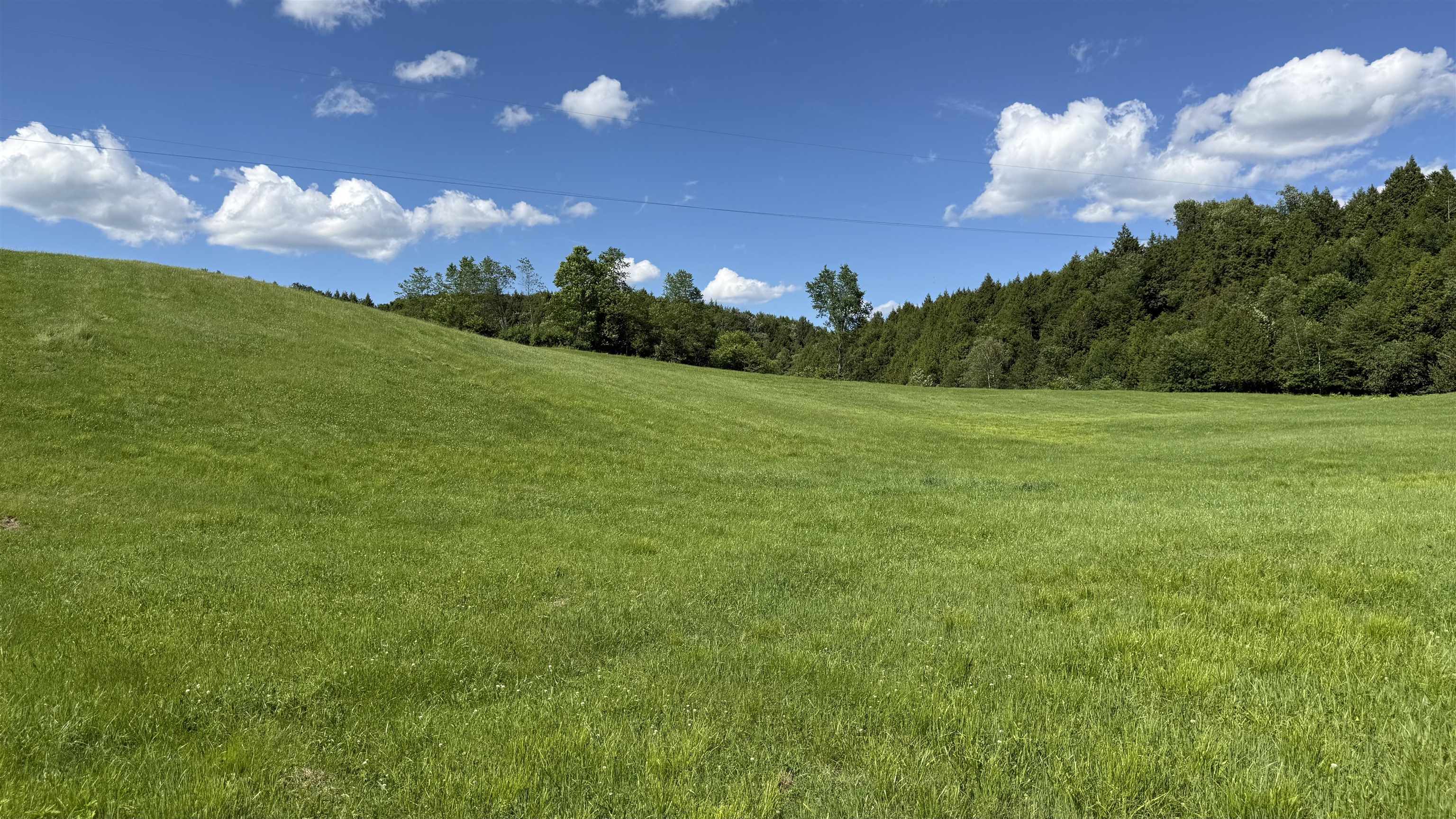 1823 Lost Nation Road Property Photo 51