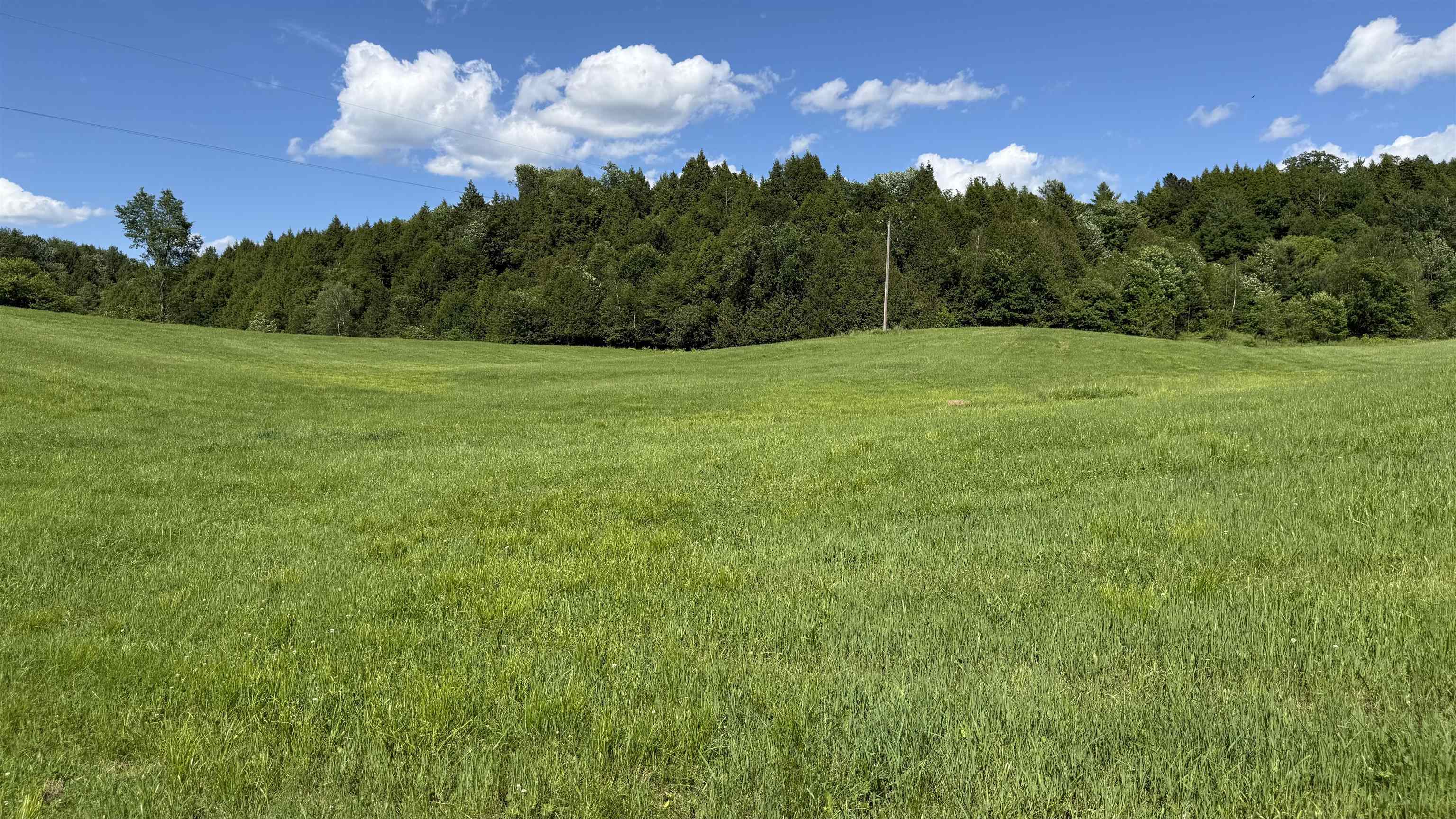 1823 Lost Nation Road Property Photo 52
