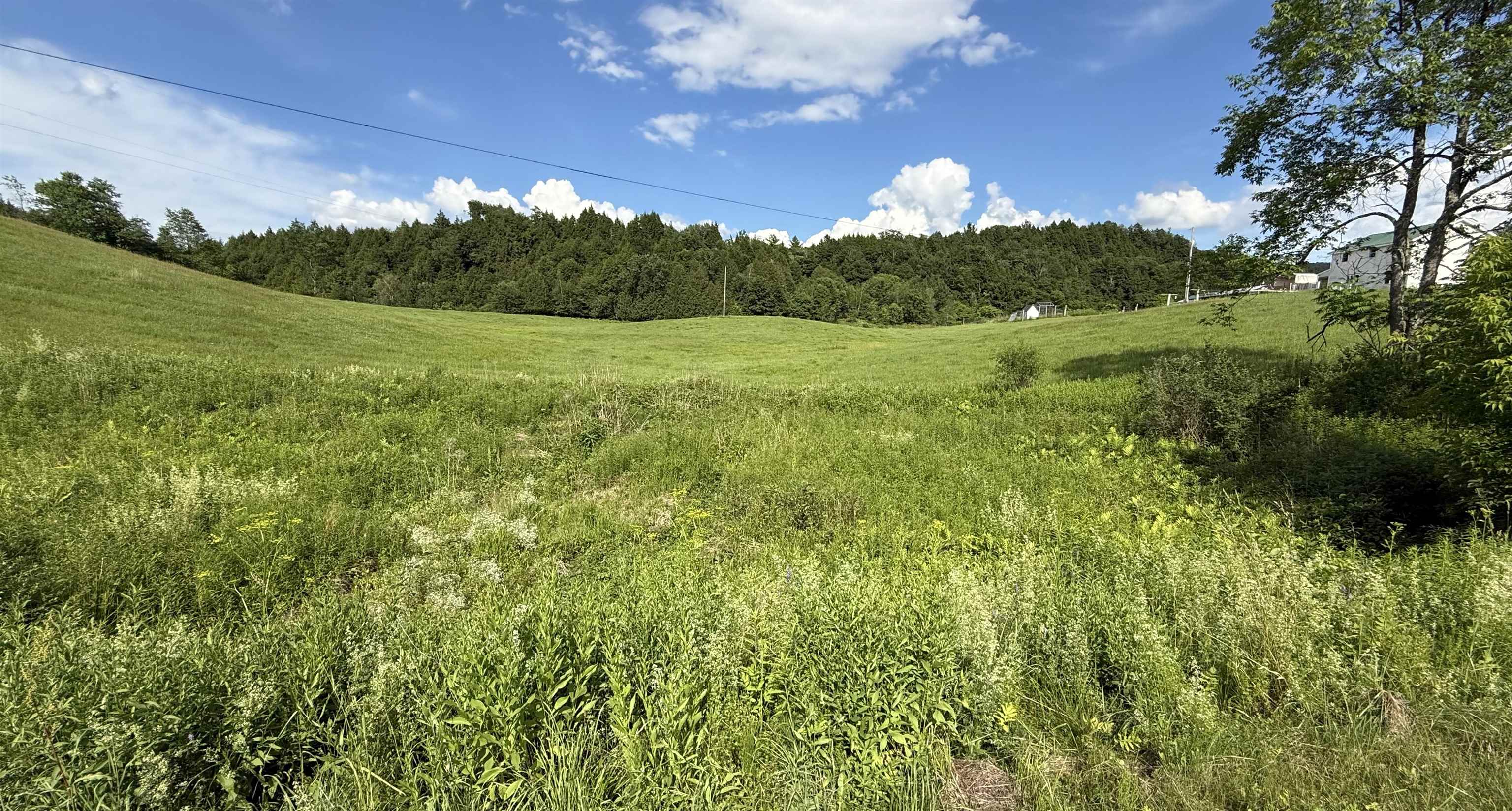 1823 Lost Nation Road Property Photo 54