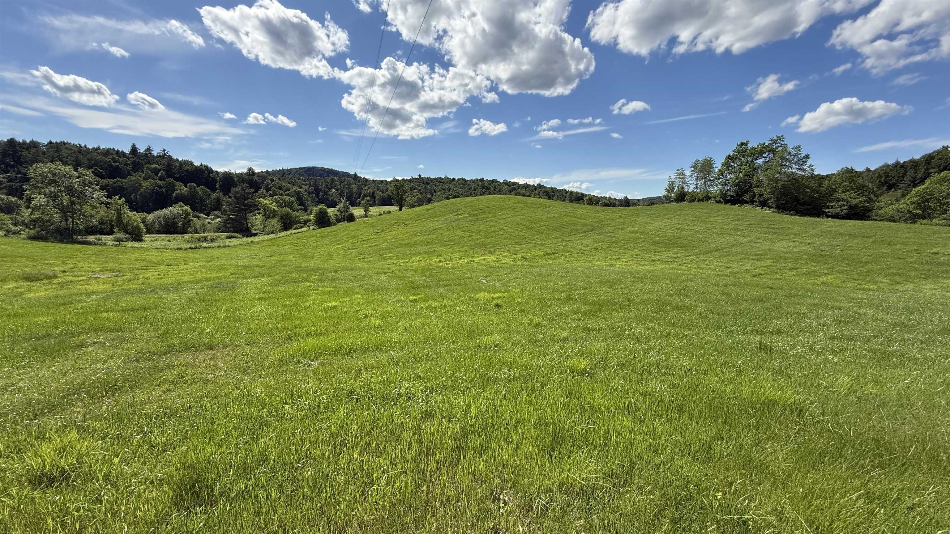 1823 Lost Nation Road Property Photo 57