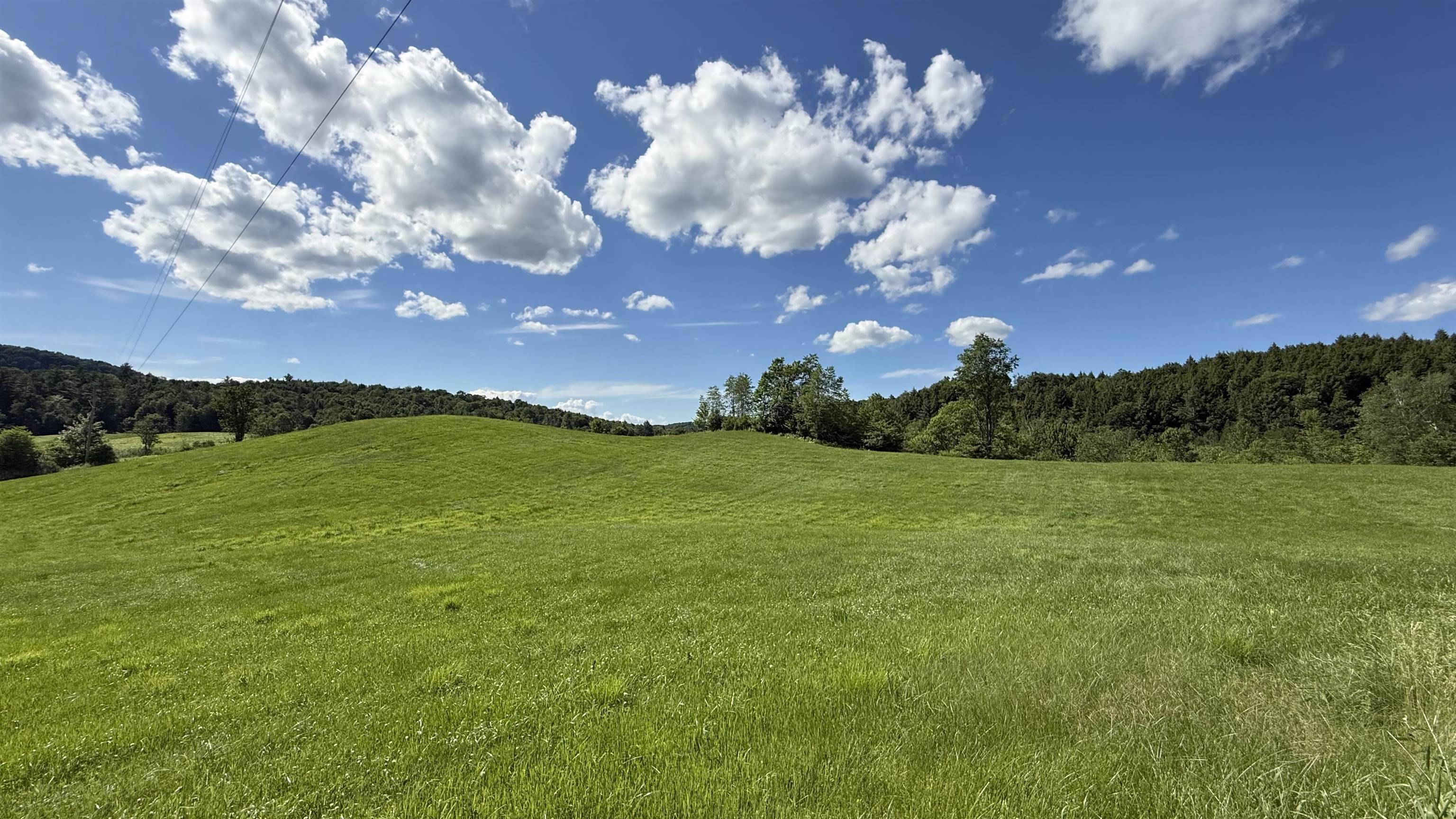 1823 Lost Nation Road Property Photo 58