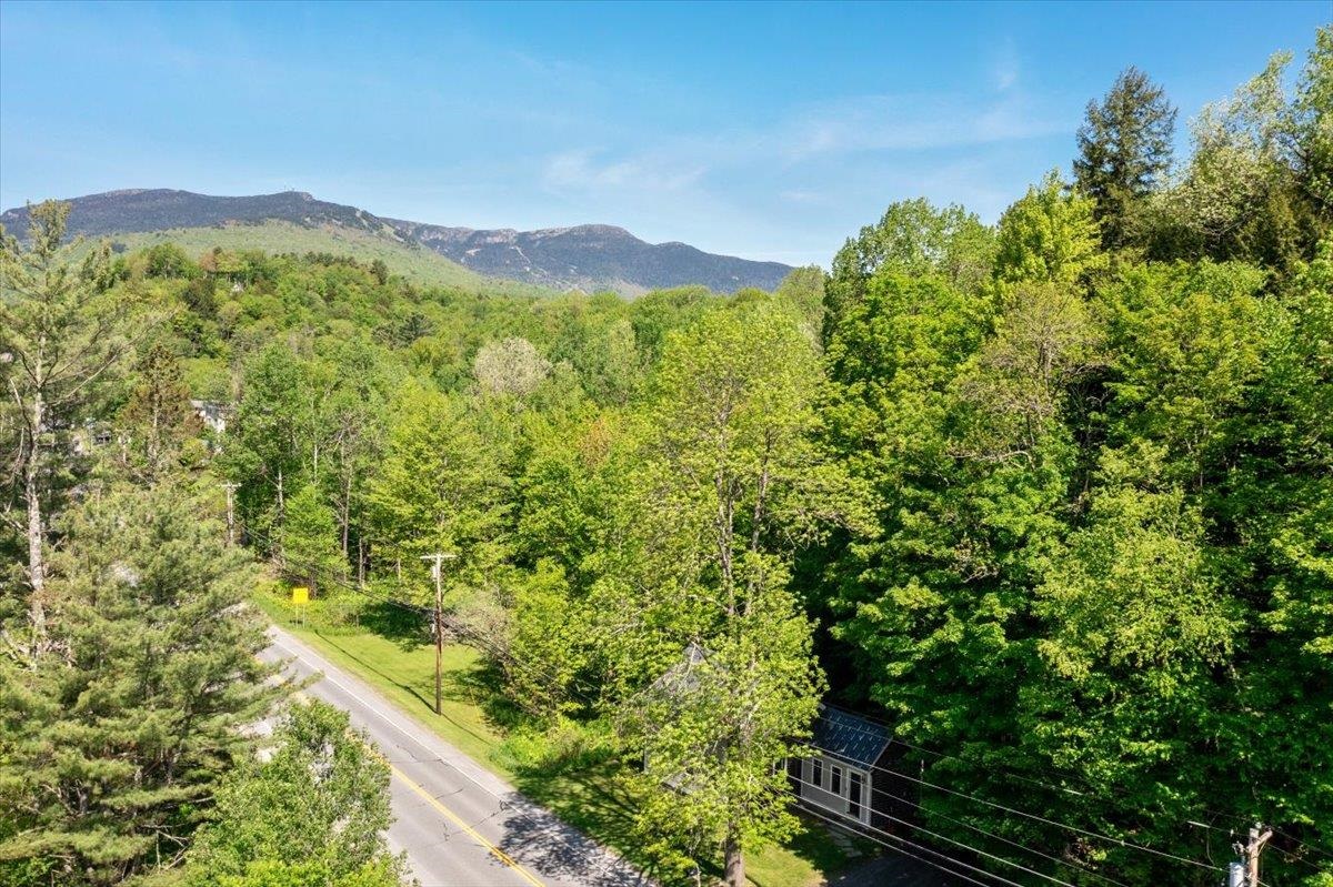 4780 Mountain Road Property Photo 42