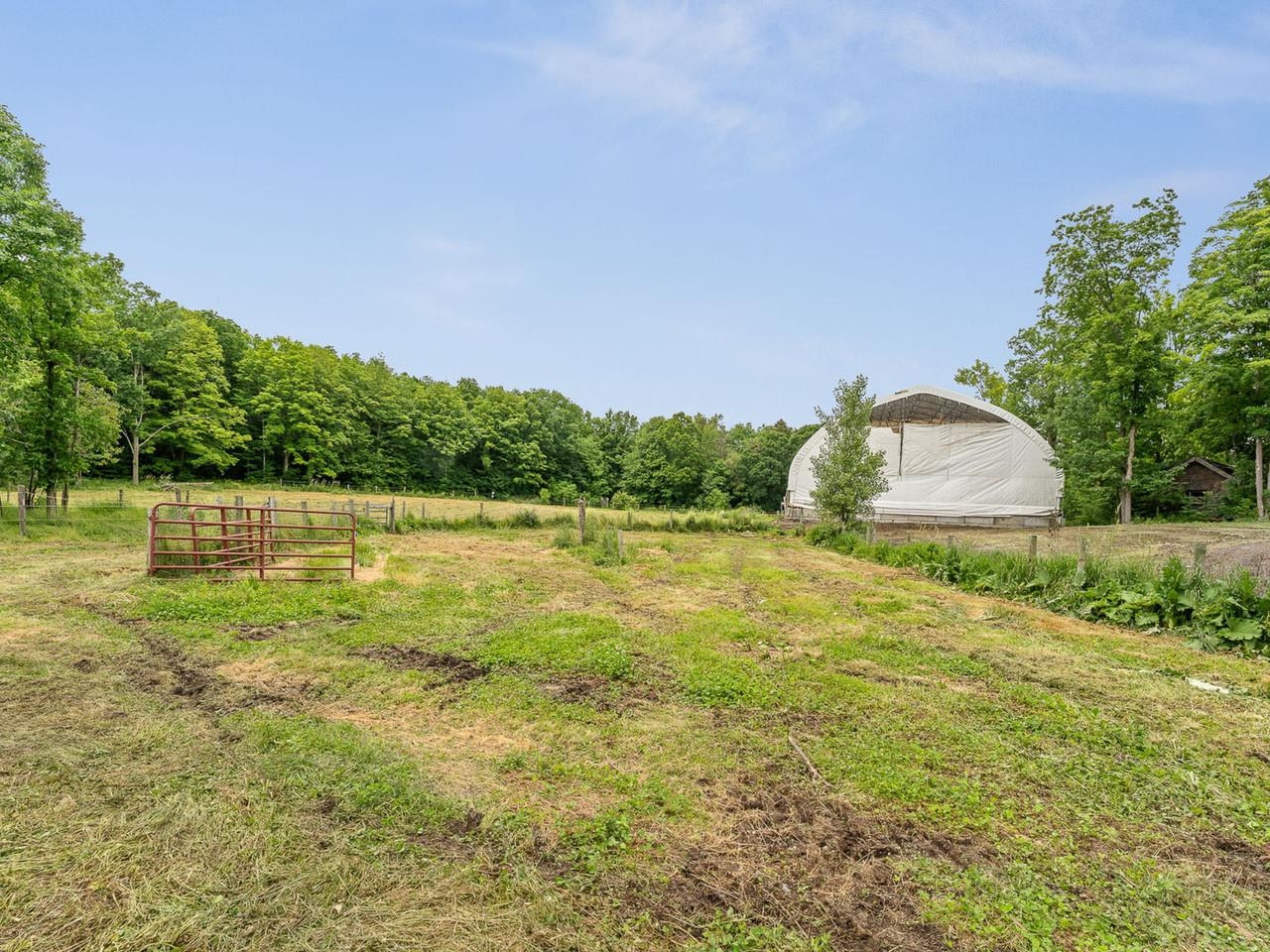 1233 Satterly Road Property Photo 54