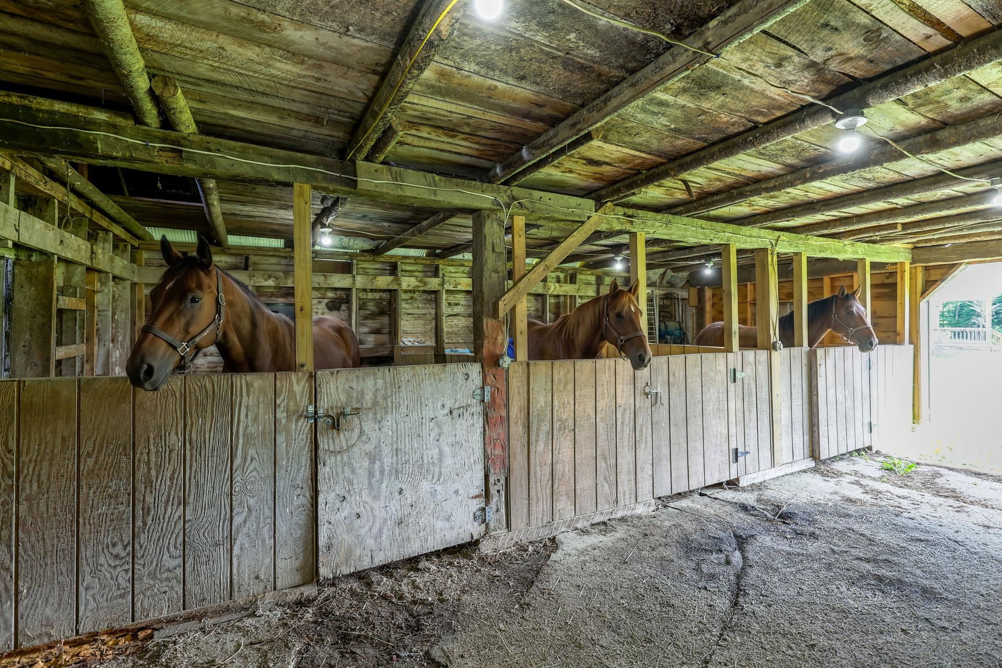 597 Chapdelaine Road Property Photo 11