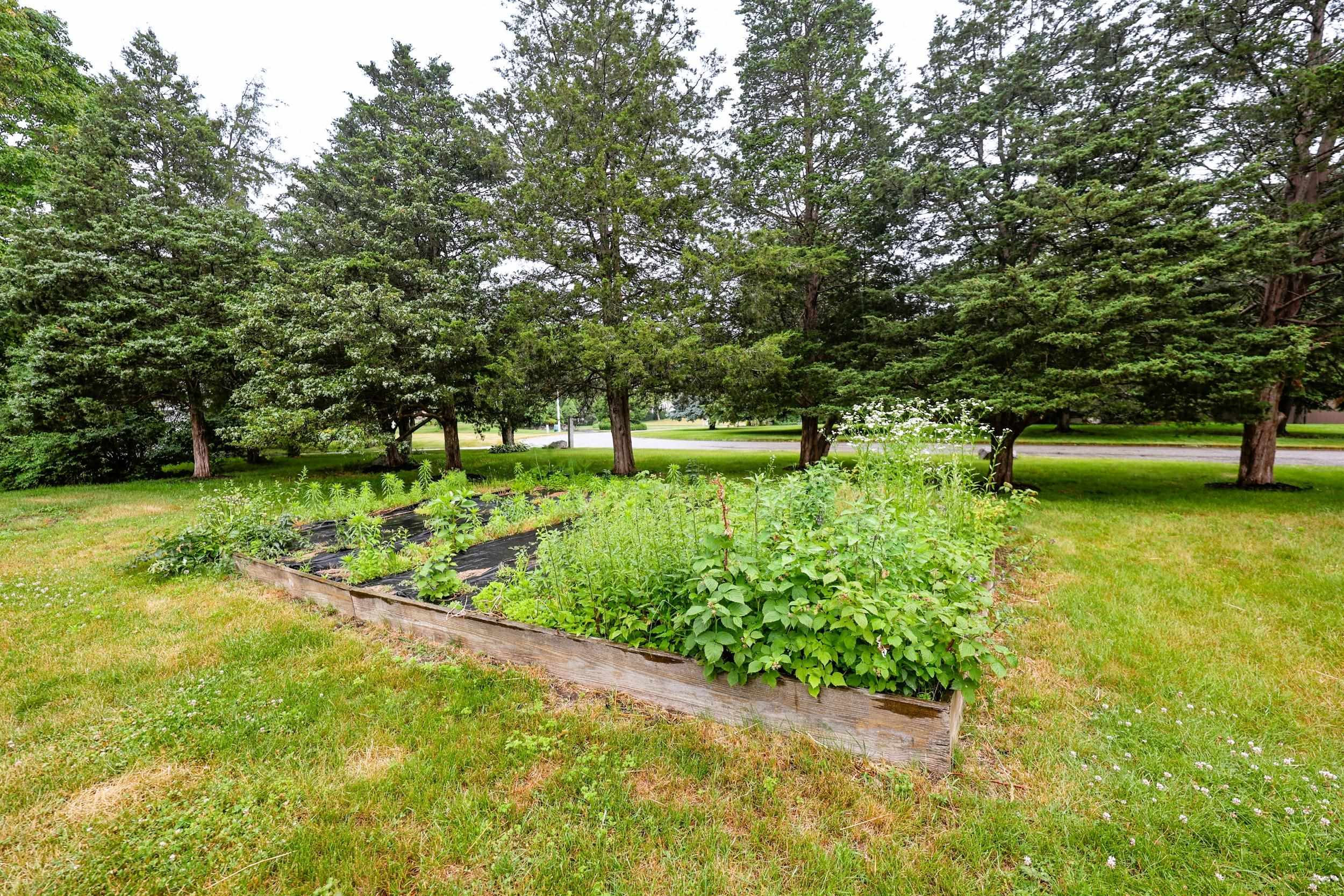 46 Mace Road Property Photo 49