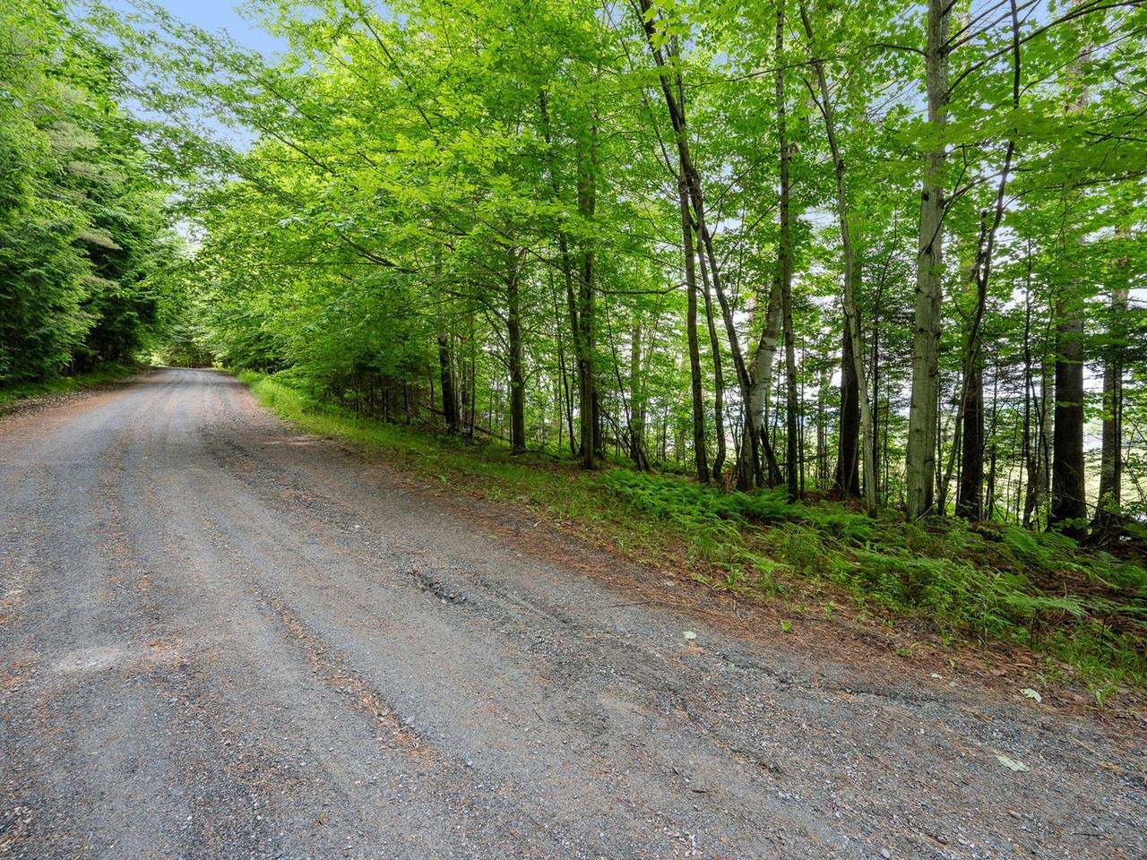 Tbd Sholan Road Property Photo 14