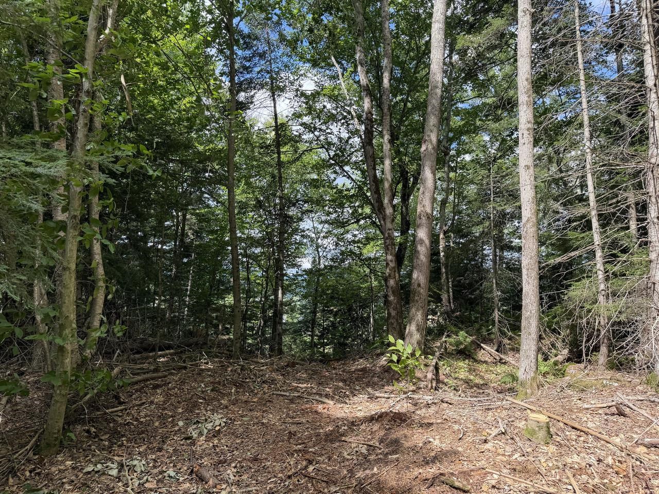 Tbd Sholan Road Property Photo 18