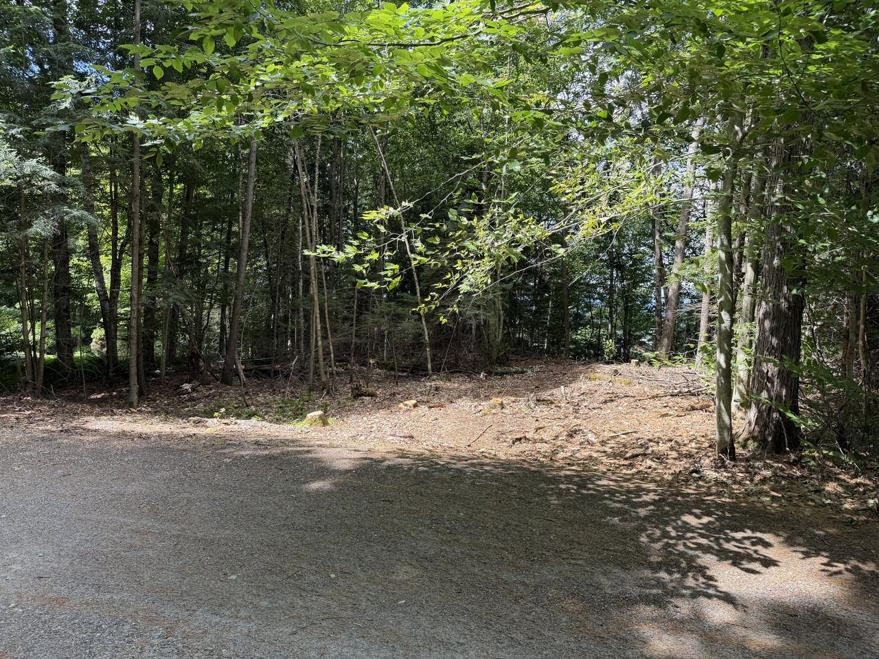 Tbd Sholan Road Property Photo 19