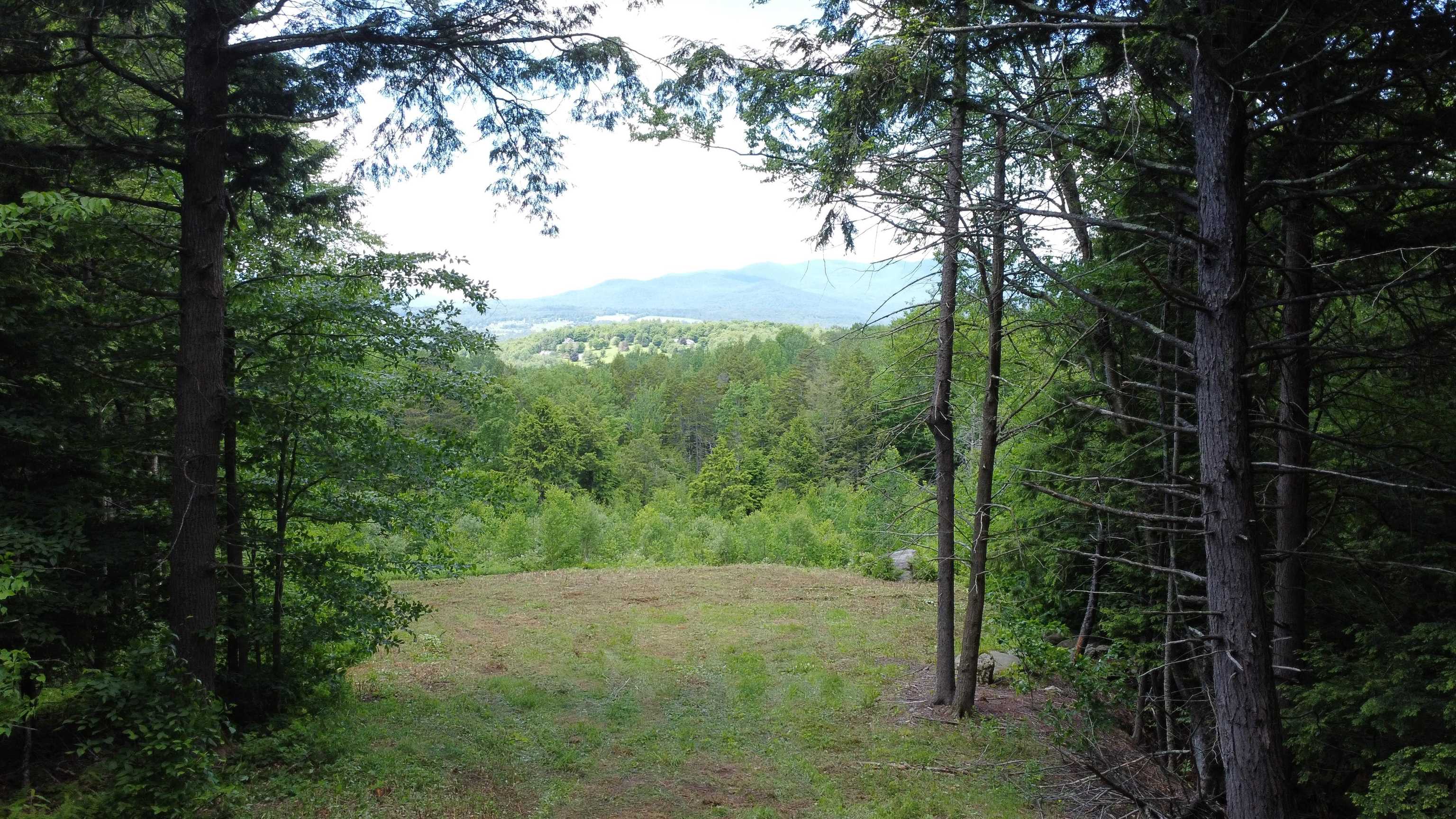 157 Bear Creek Lane Property Photo 11