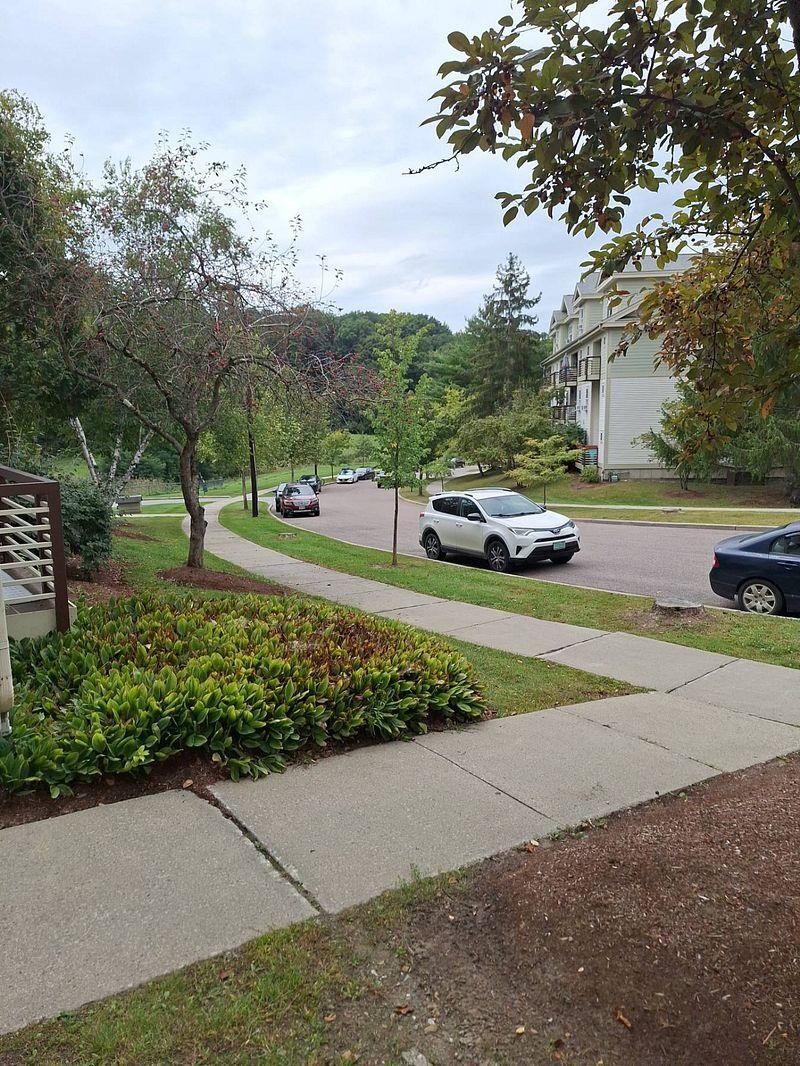 241 Hildred Drive Property Photo 4