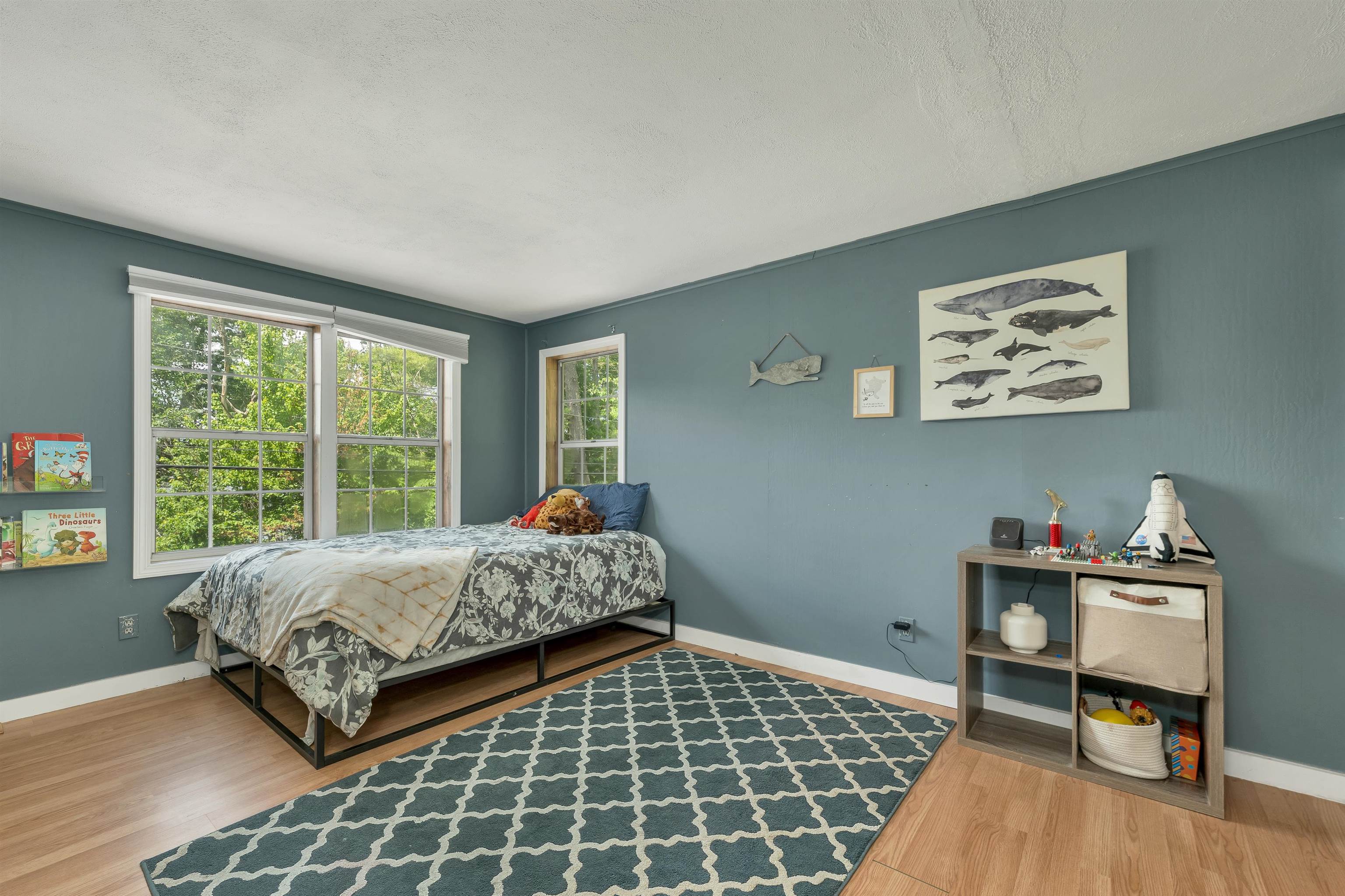 165 South Shore Road Property Photo 25