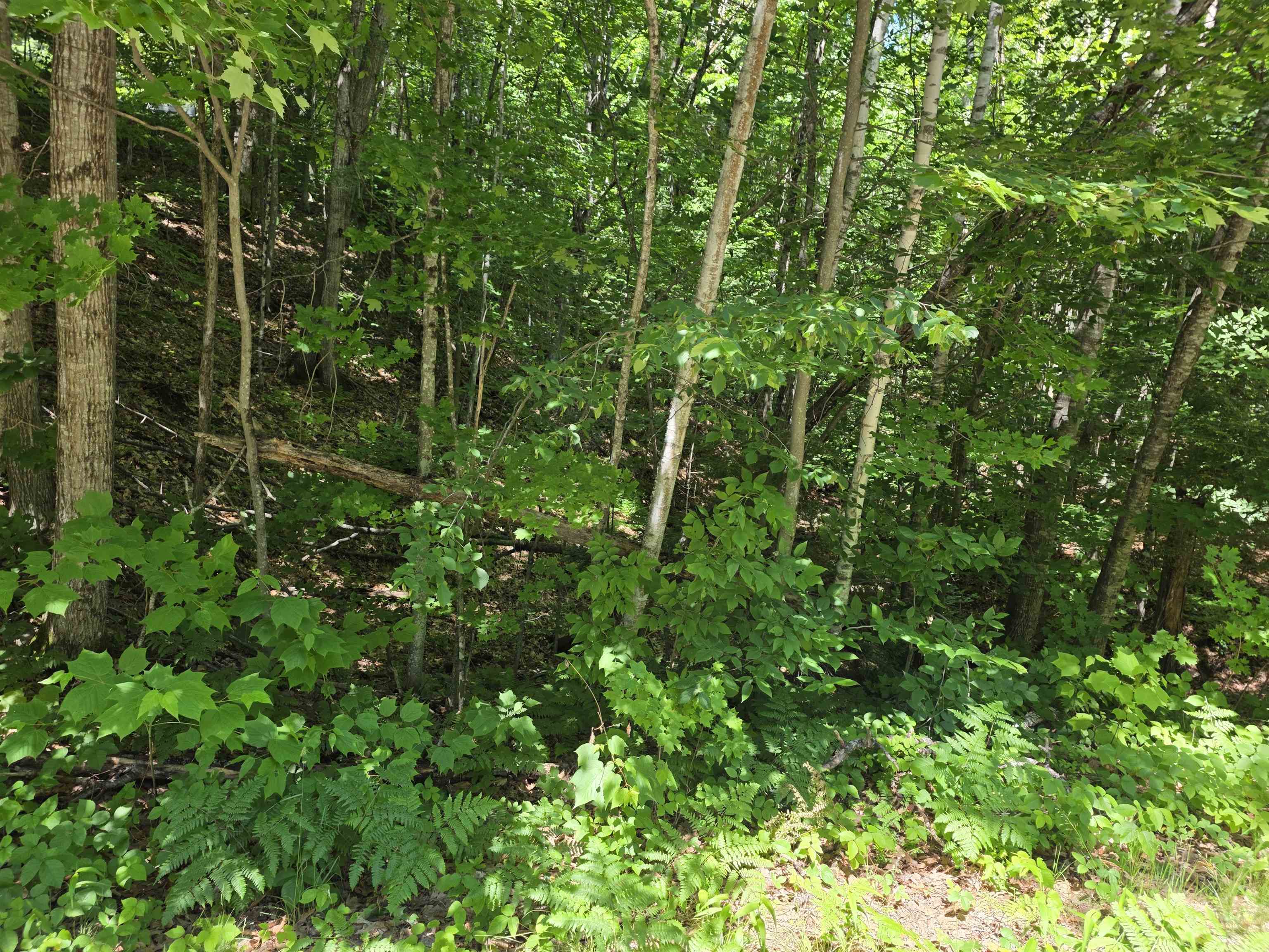 King Road And Route 3 Property Photo 4