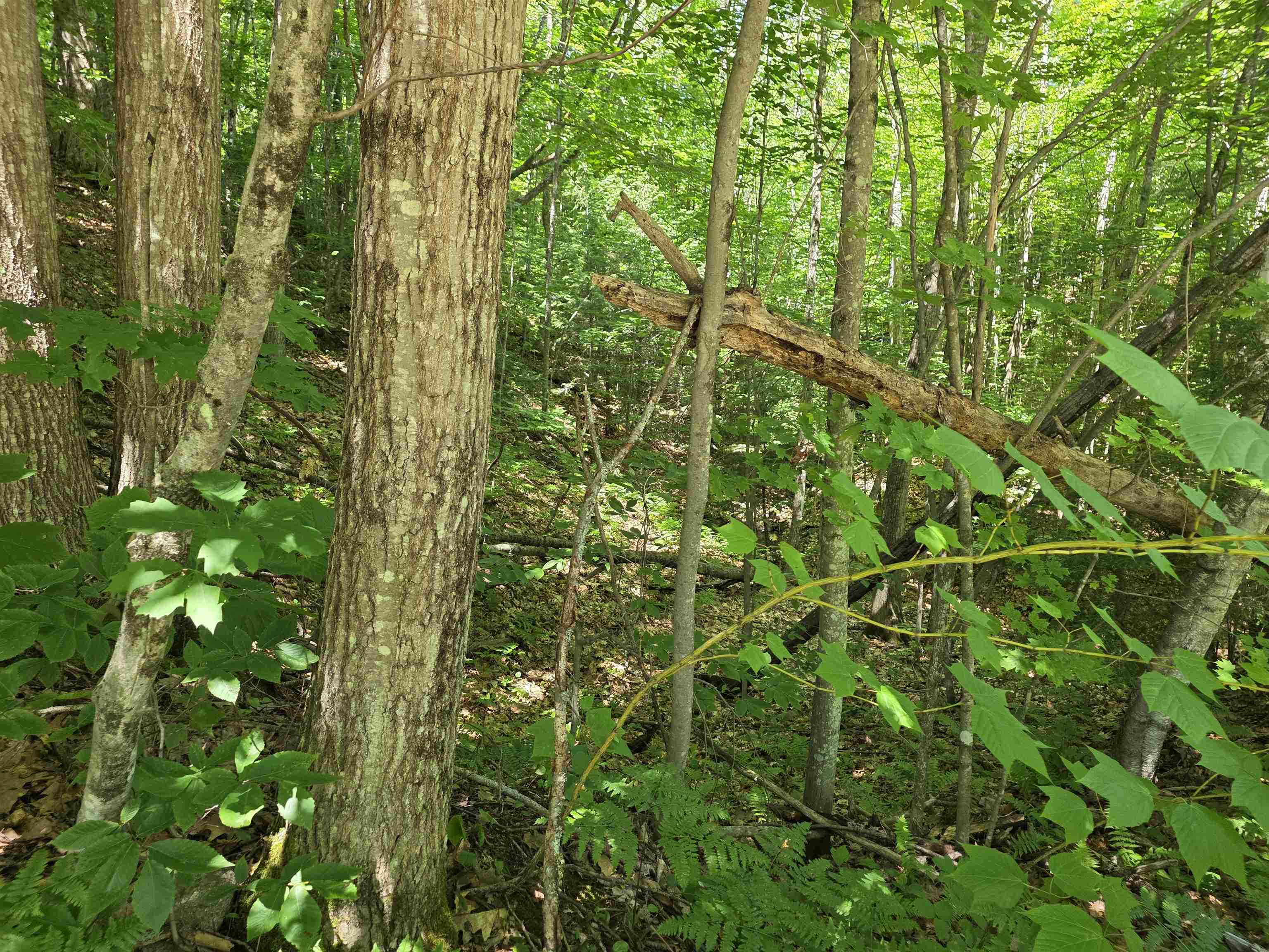 King Road And Route 3 Property Photo 5