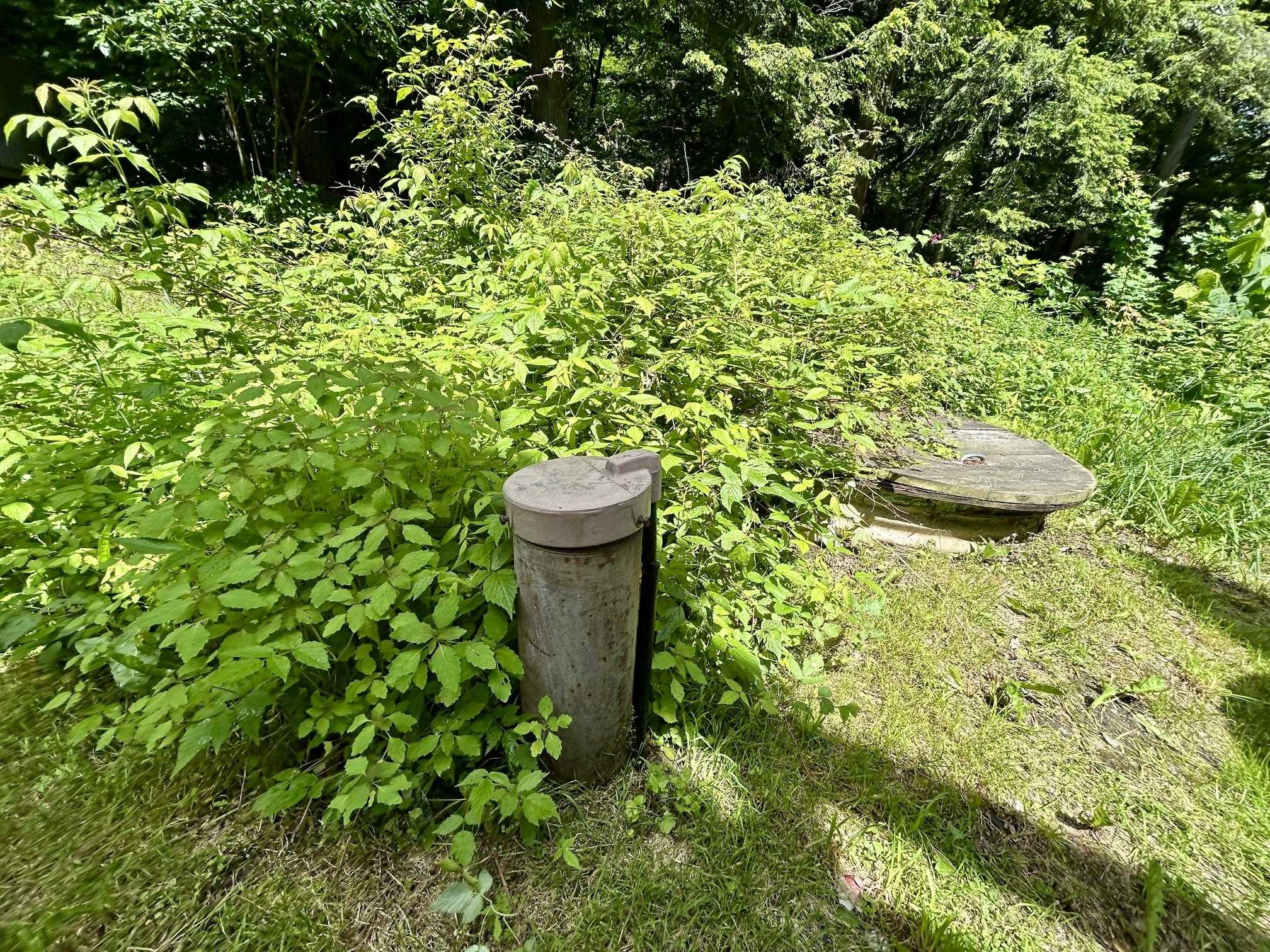 8 Mary White Road Property Photo 30