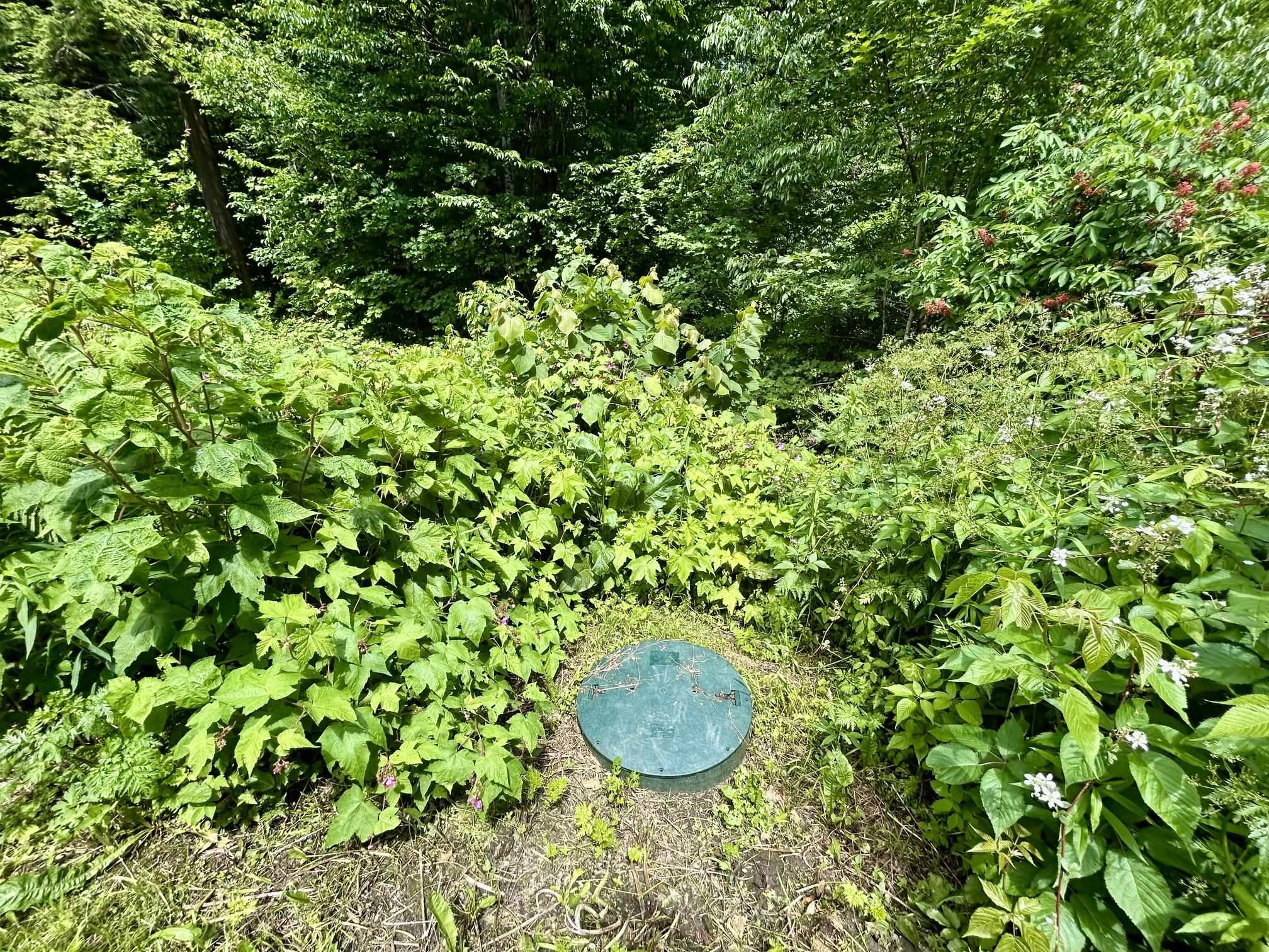 8 Mary White Road Property Photo 31