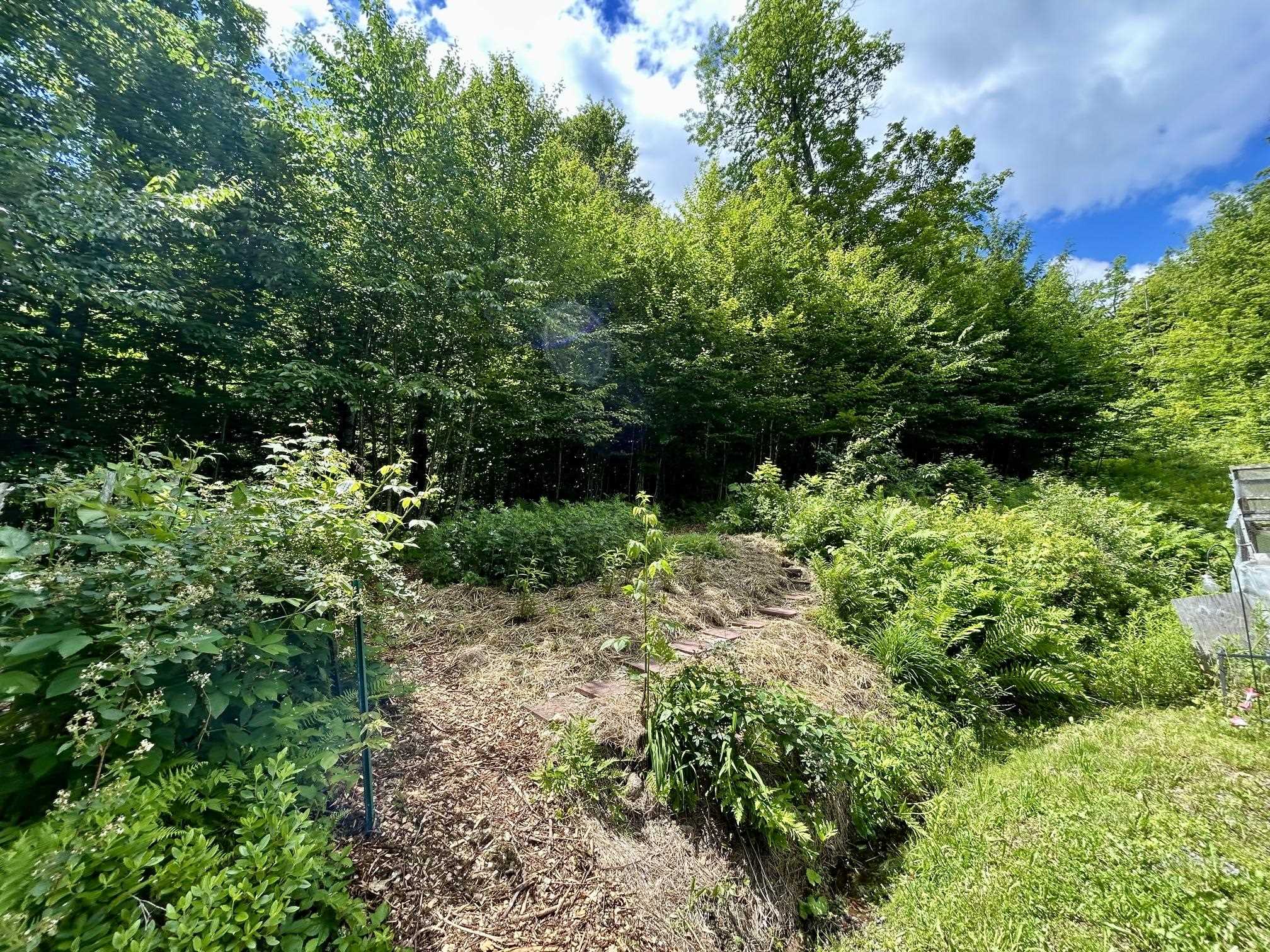 8 Mary White Road Property Photo 32