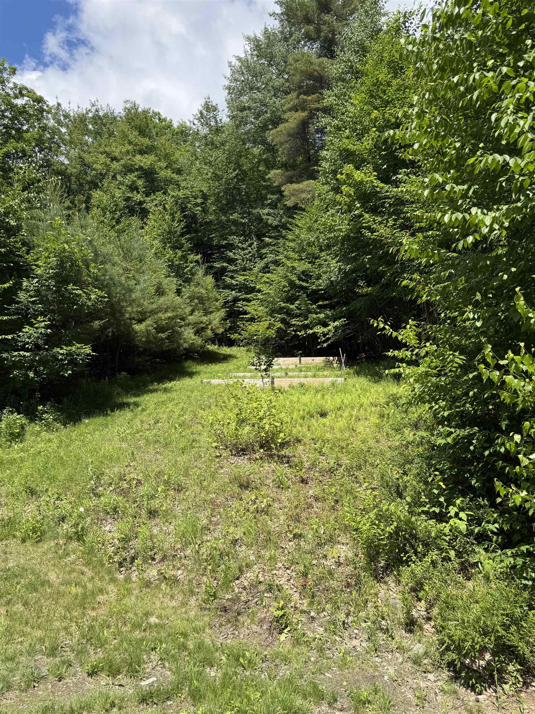 175 Sunset Rock Road Property Photo 9