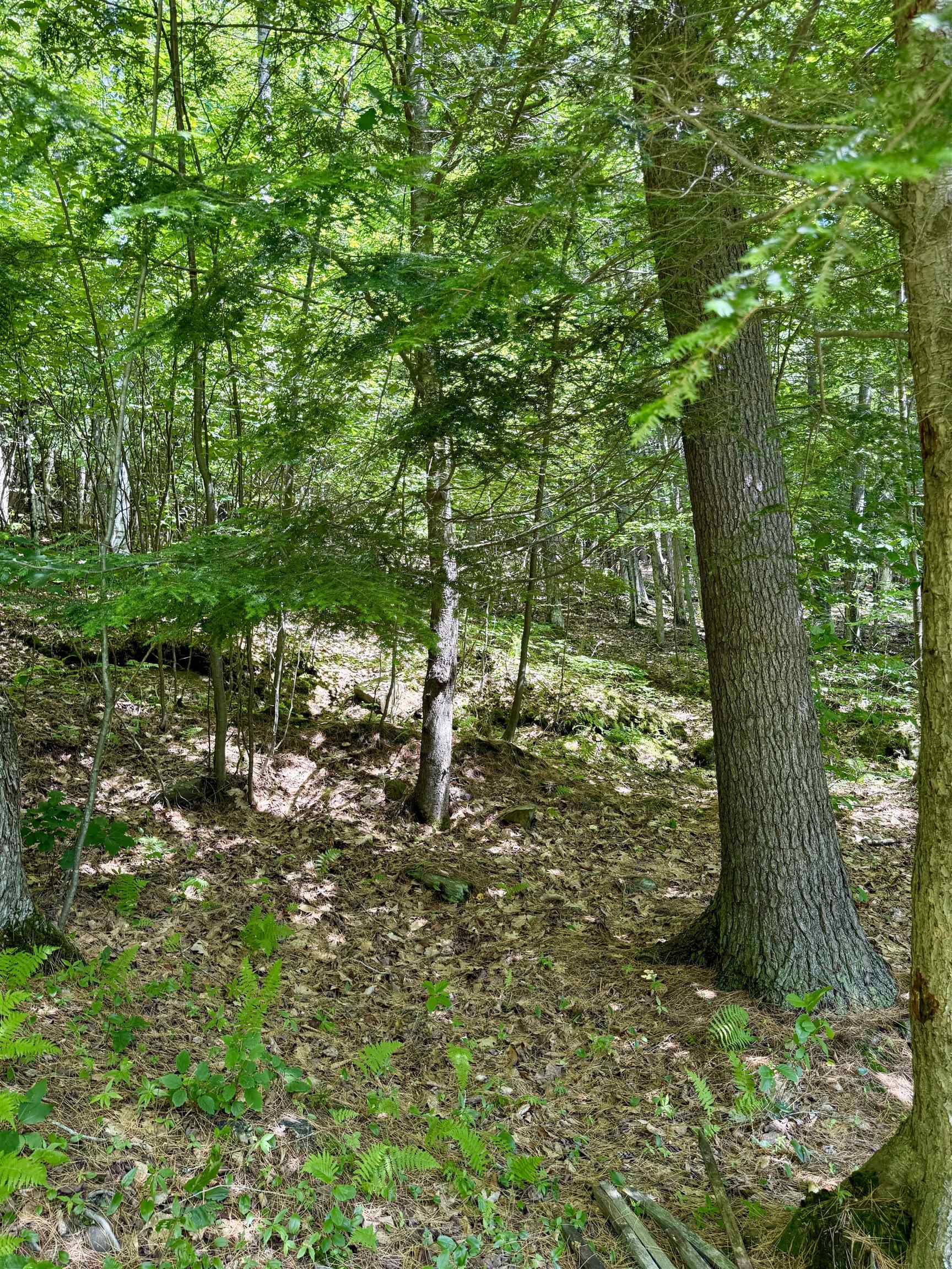 175 Sunset Rock Road Property Photo 12