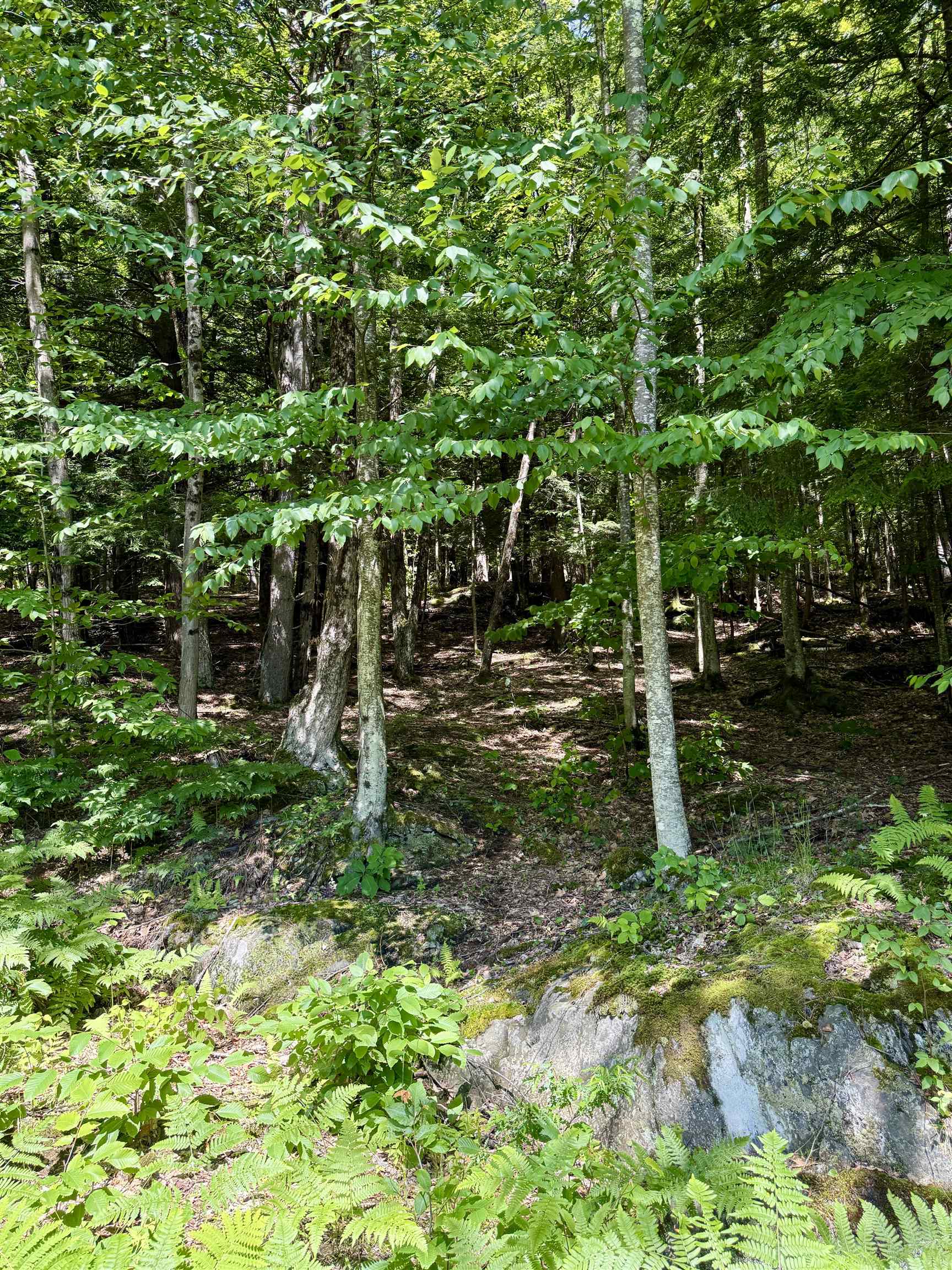 175 Sunset Rock Road Property Photo 14