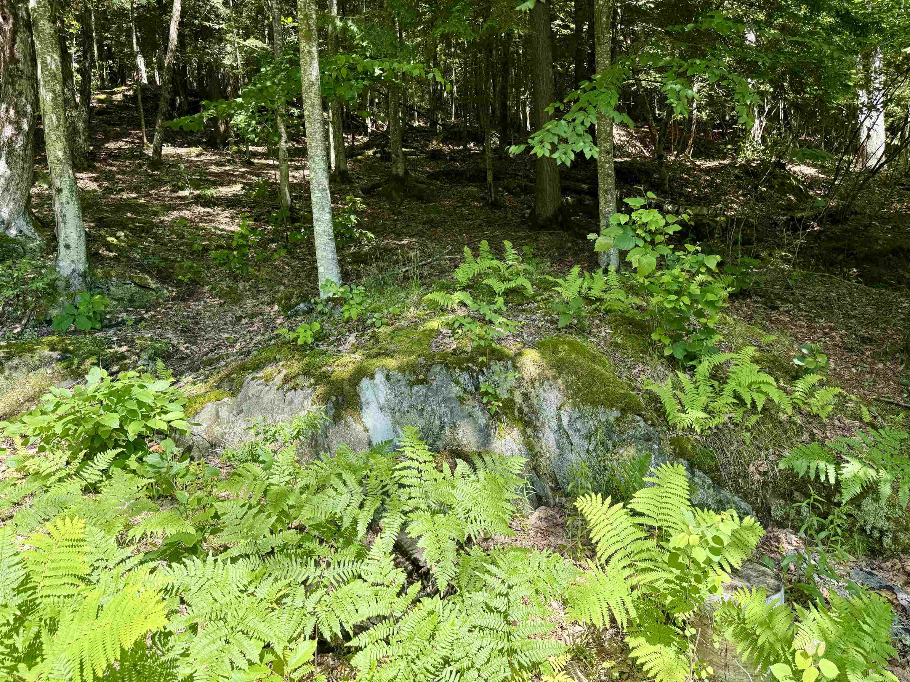 175 Sunset Rock Road Property Photo 15