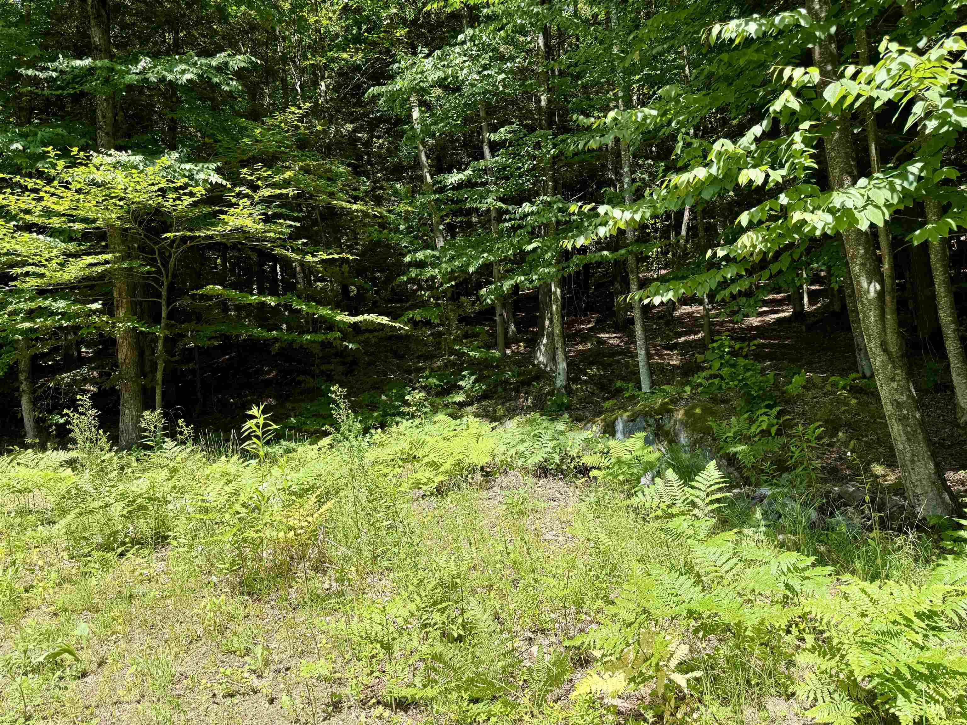 175 Sunset Rock Road Property Photo 16