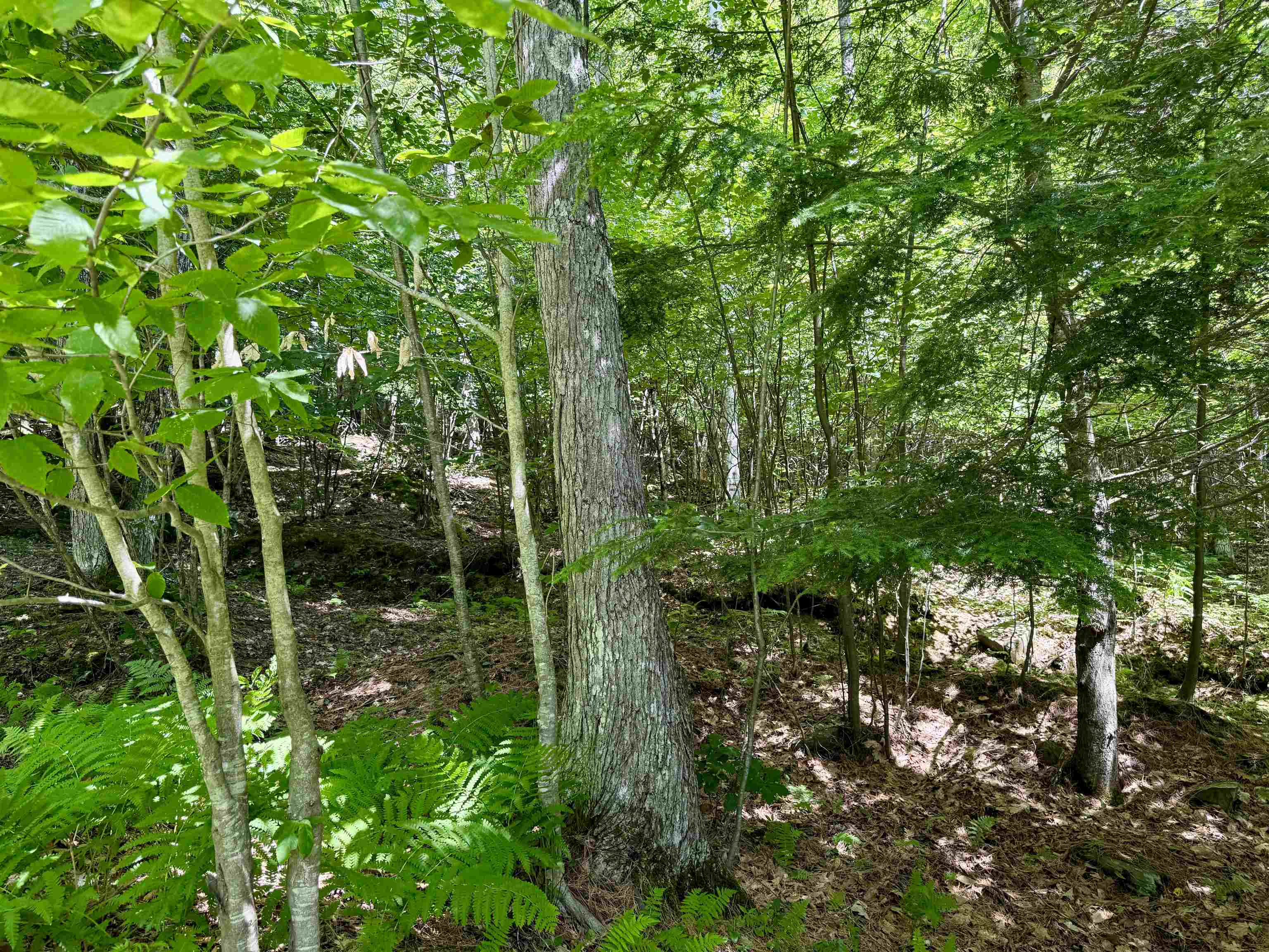 175 Sunset Rock Road Property Photo 17