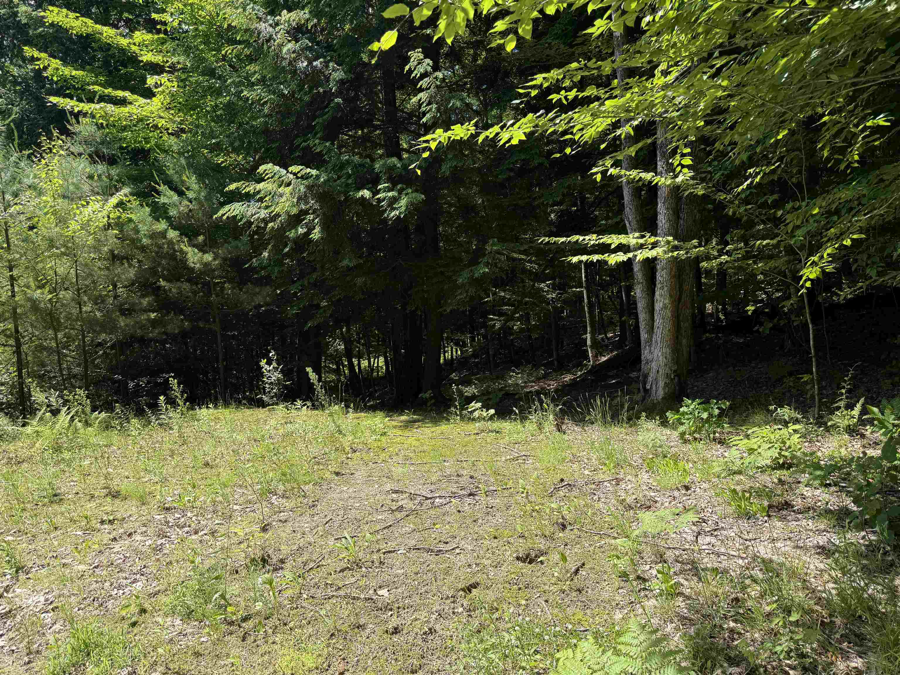 175 Sunset Rock Road Property Photo 18