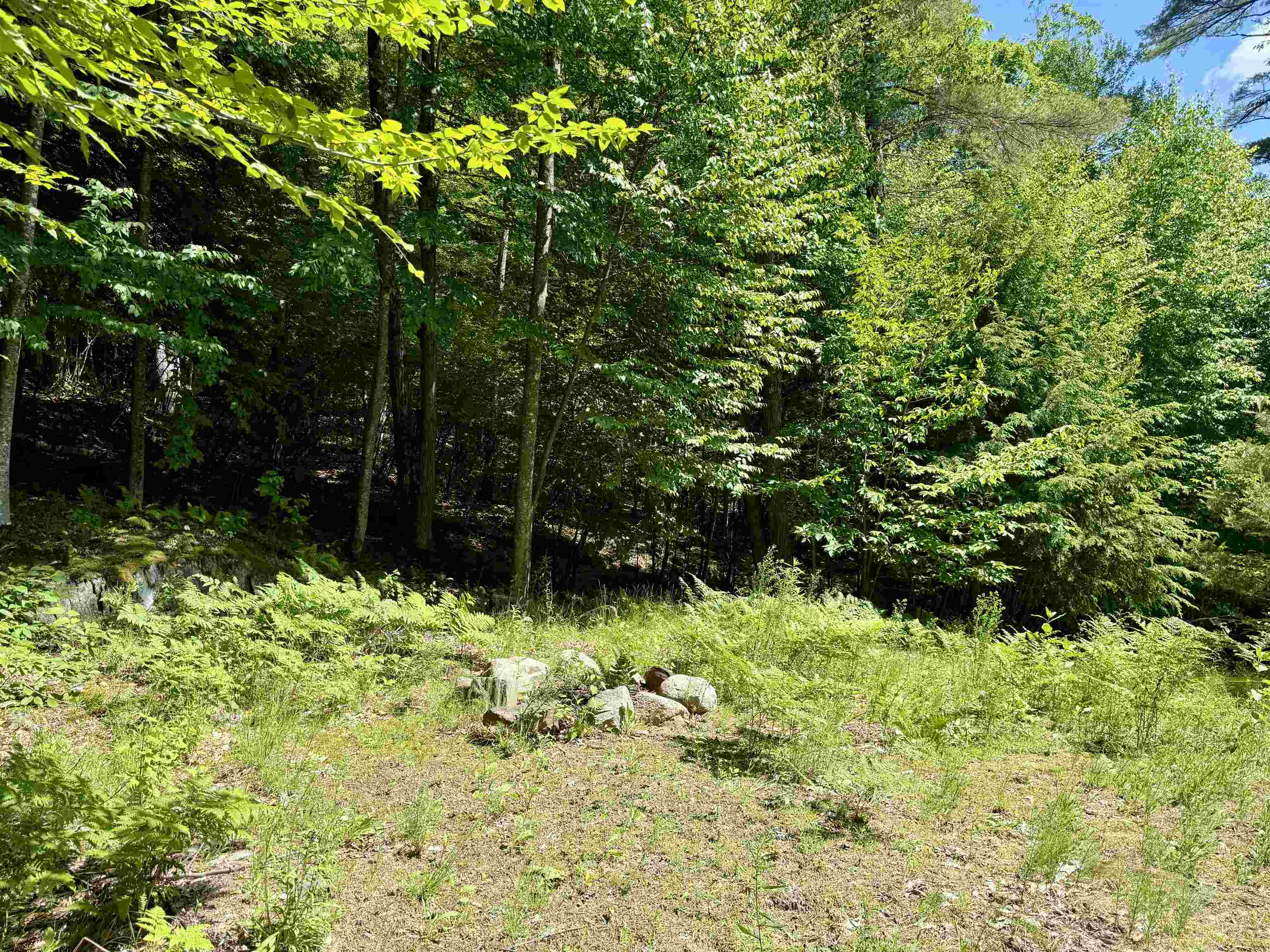 175 Sunset Rock Road Property Photo 19