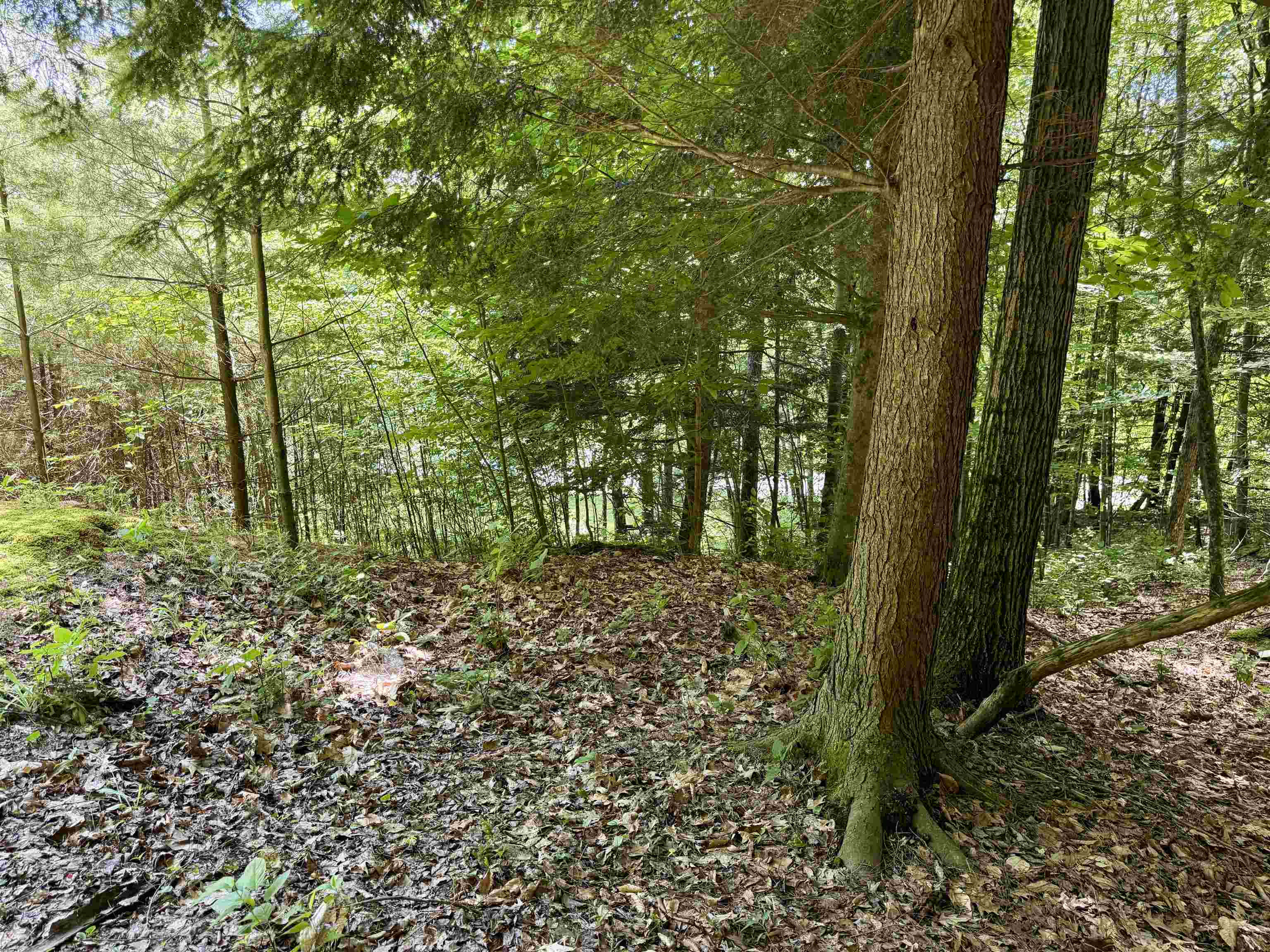 175 Sunset Rock Road Property Photo 22