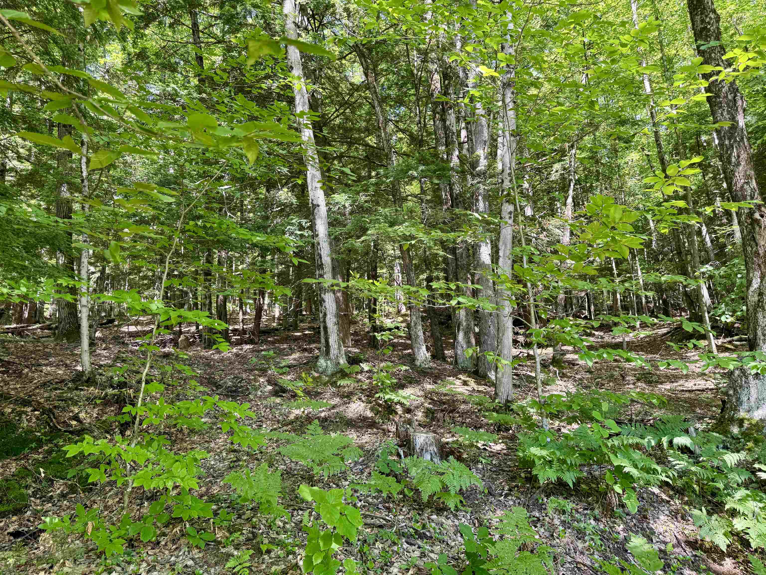 175 Sunset Rock Road Property Photo 23