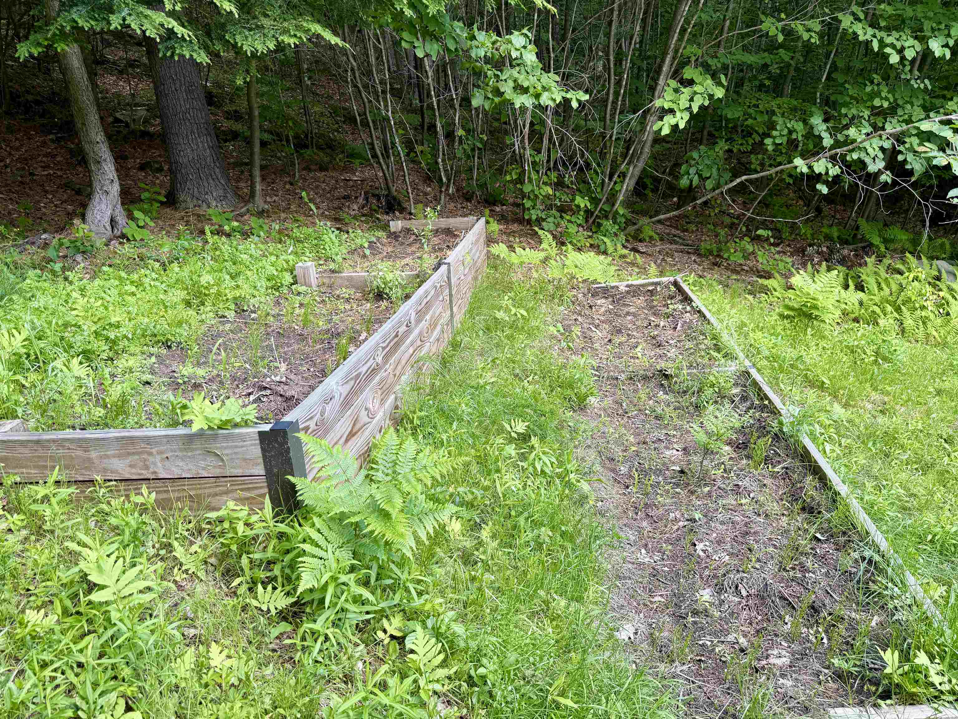 175 Sunset Rock Road Property Photo 27