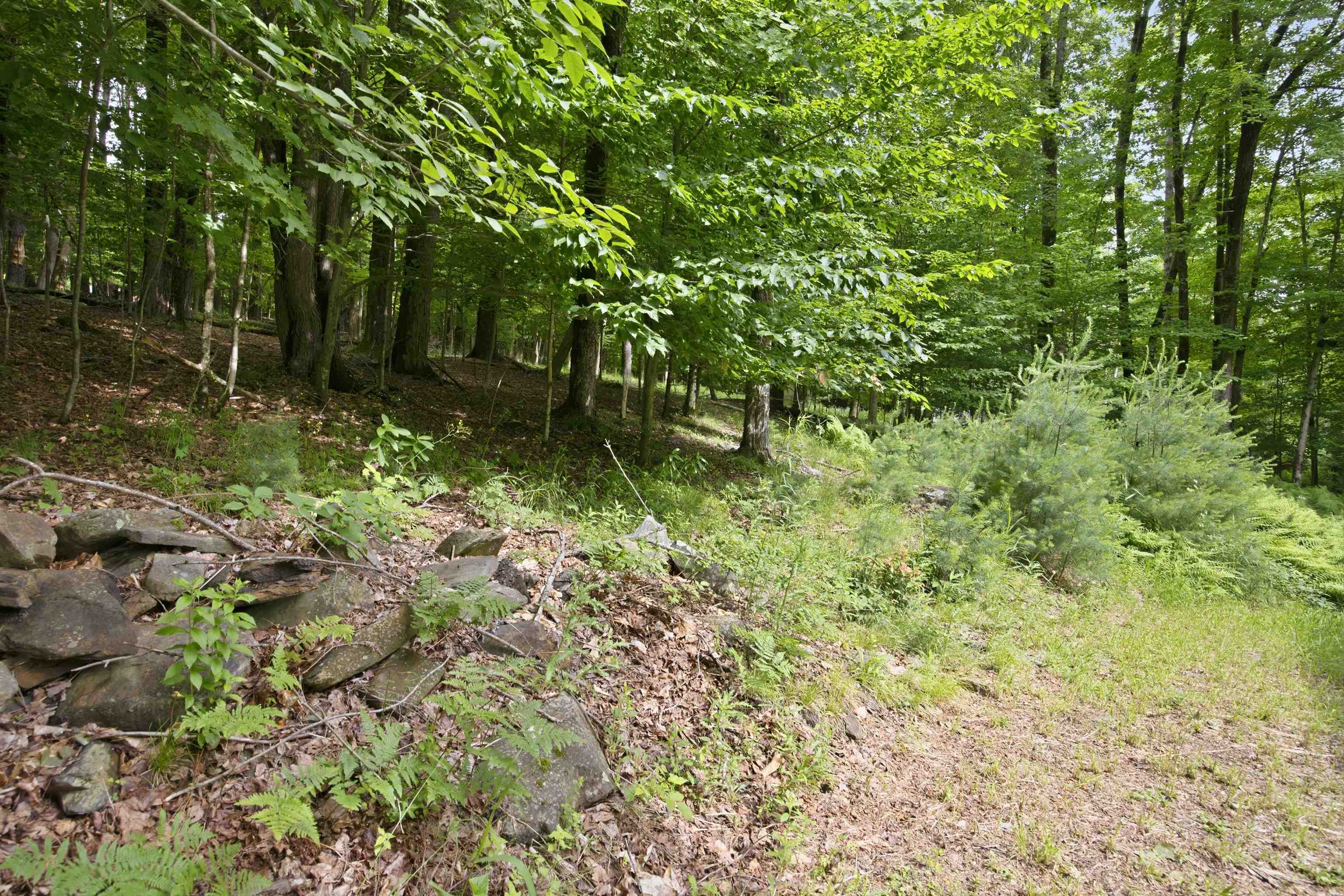 21 Foliage View Road Property Photo 8