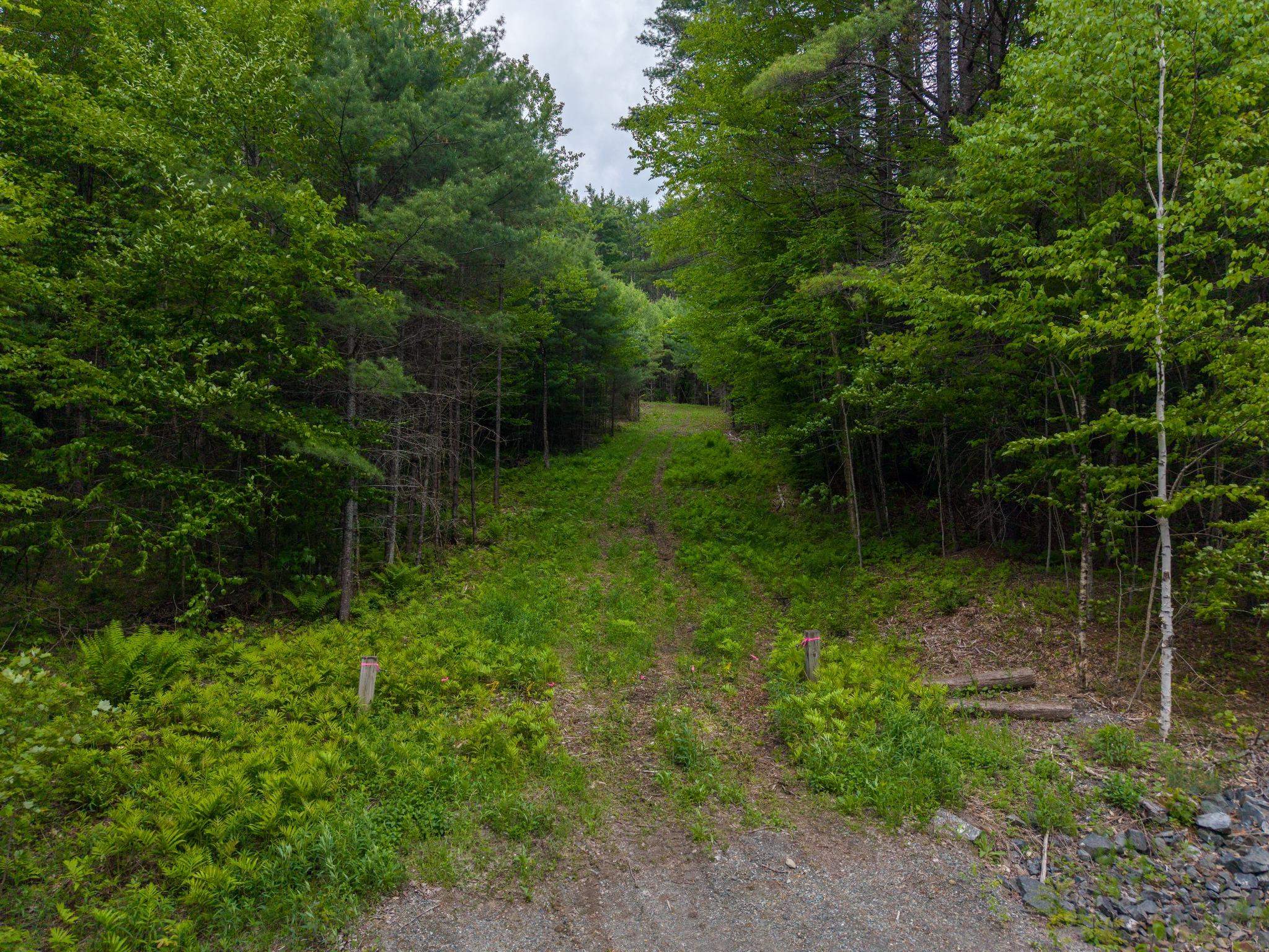 0 Tigertown Road Property Photo 3