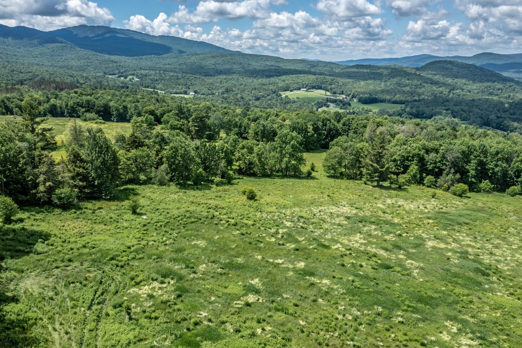 877 Grow Road Property Photo 6