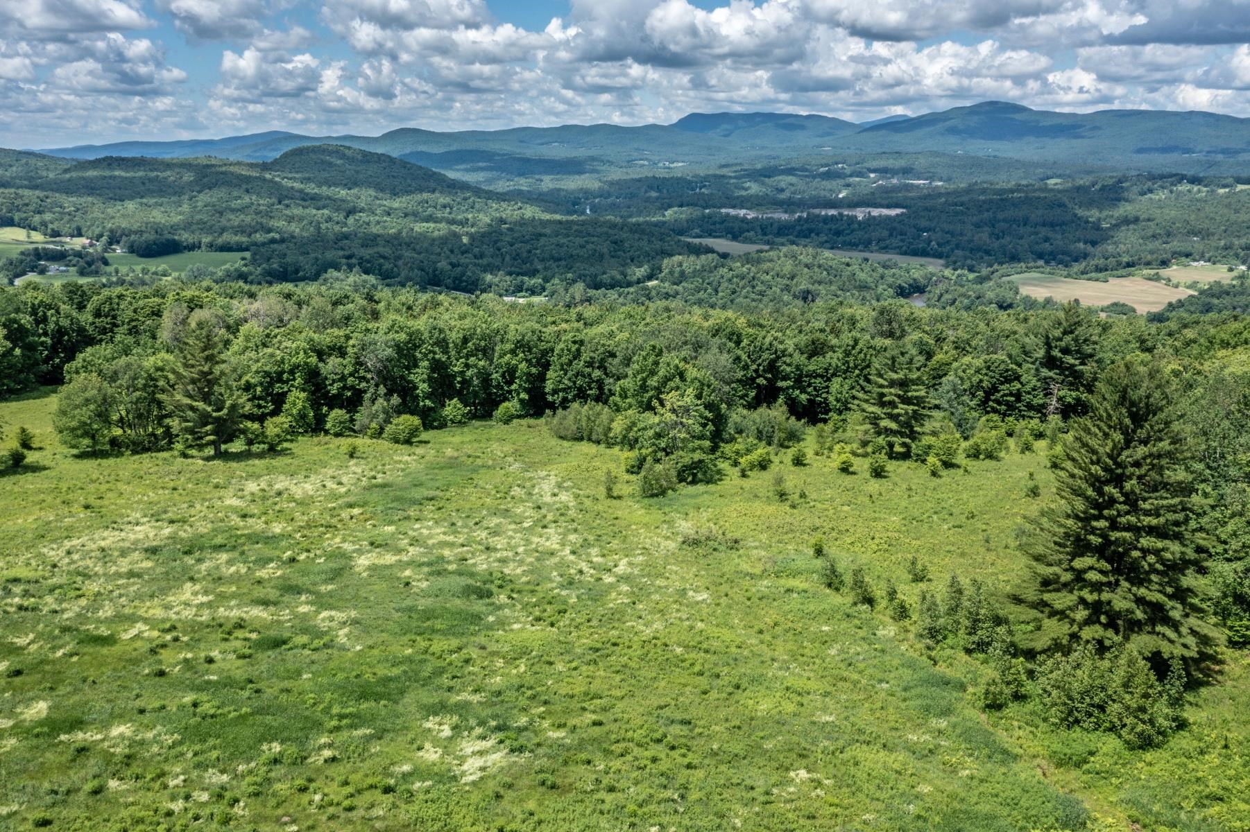 877 Grow Road Property Photo 7