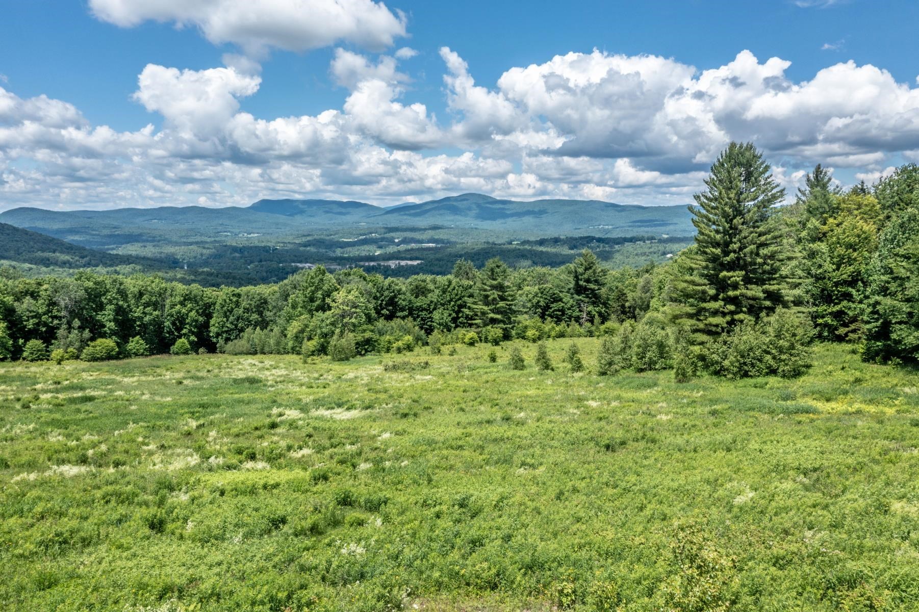 877 Grow Road Property Photo 8