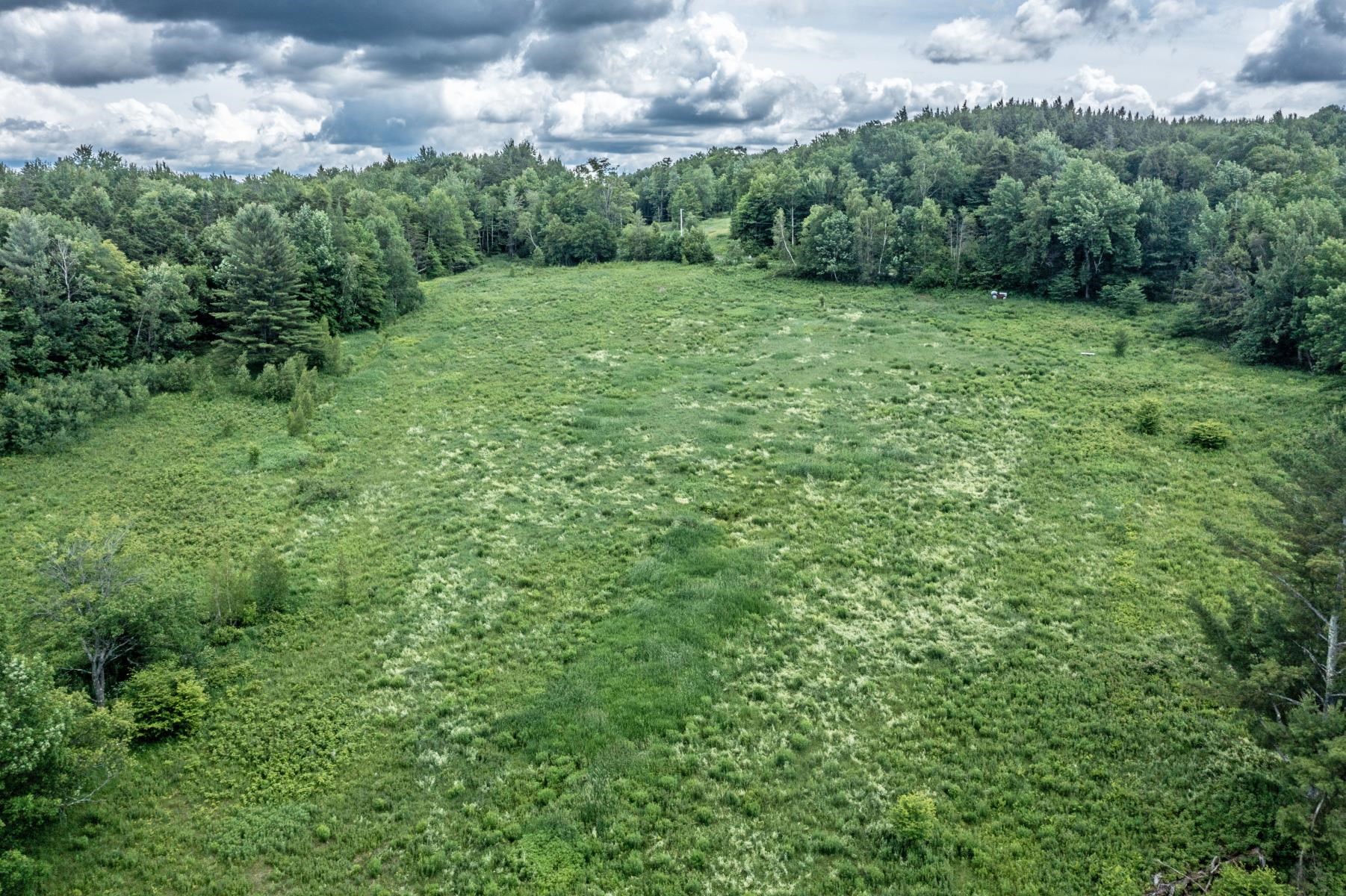 877 Grow Road Property Photo 11