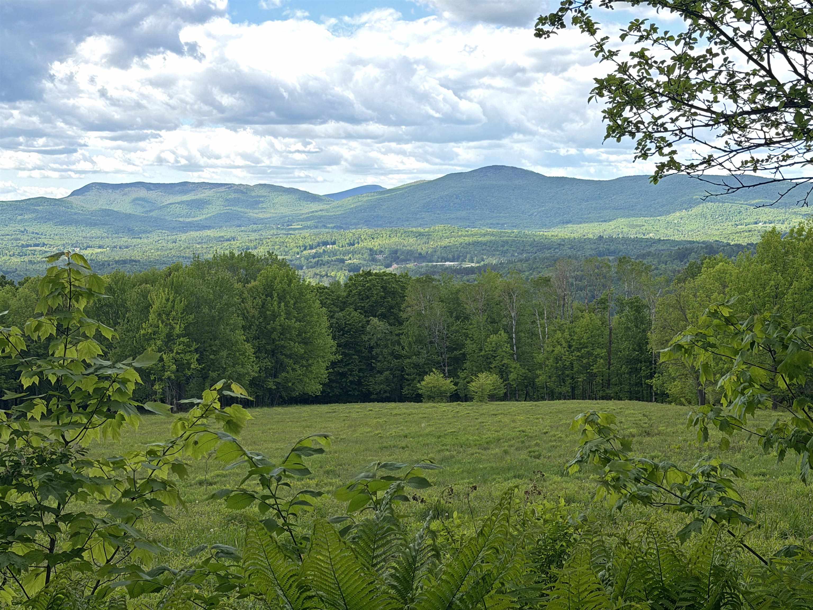 877 Grow Road Property Photo 16