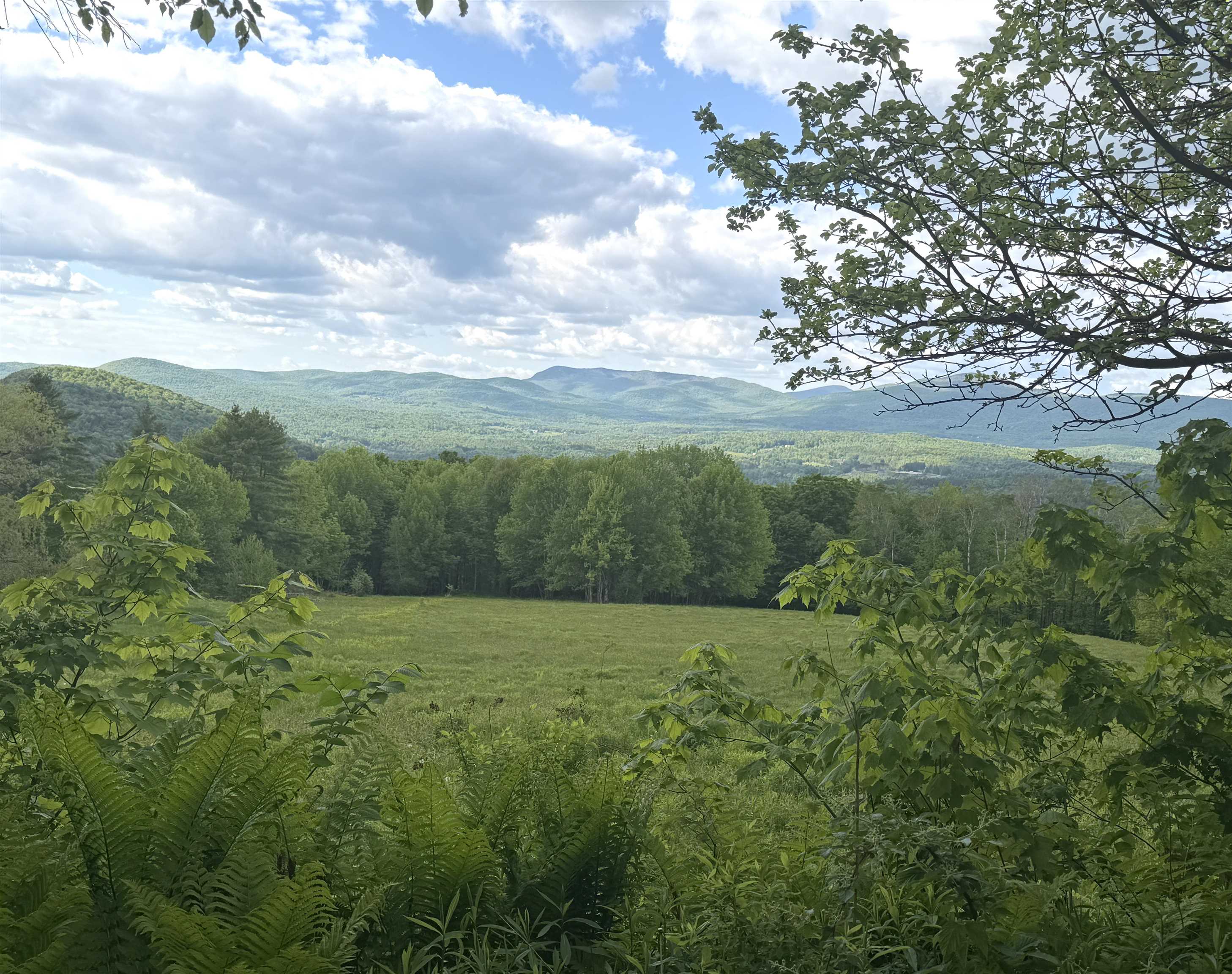 877 Grow Road Property Photo 17