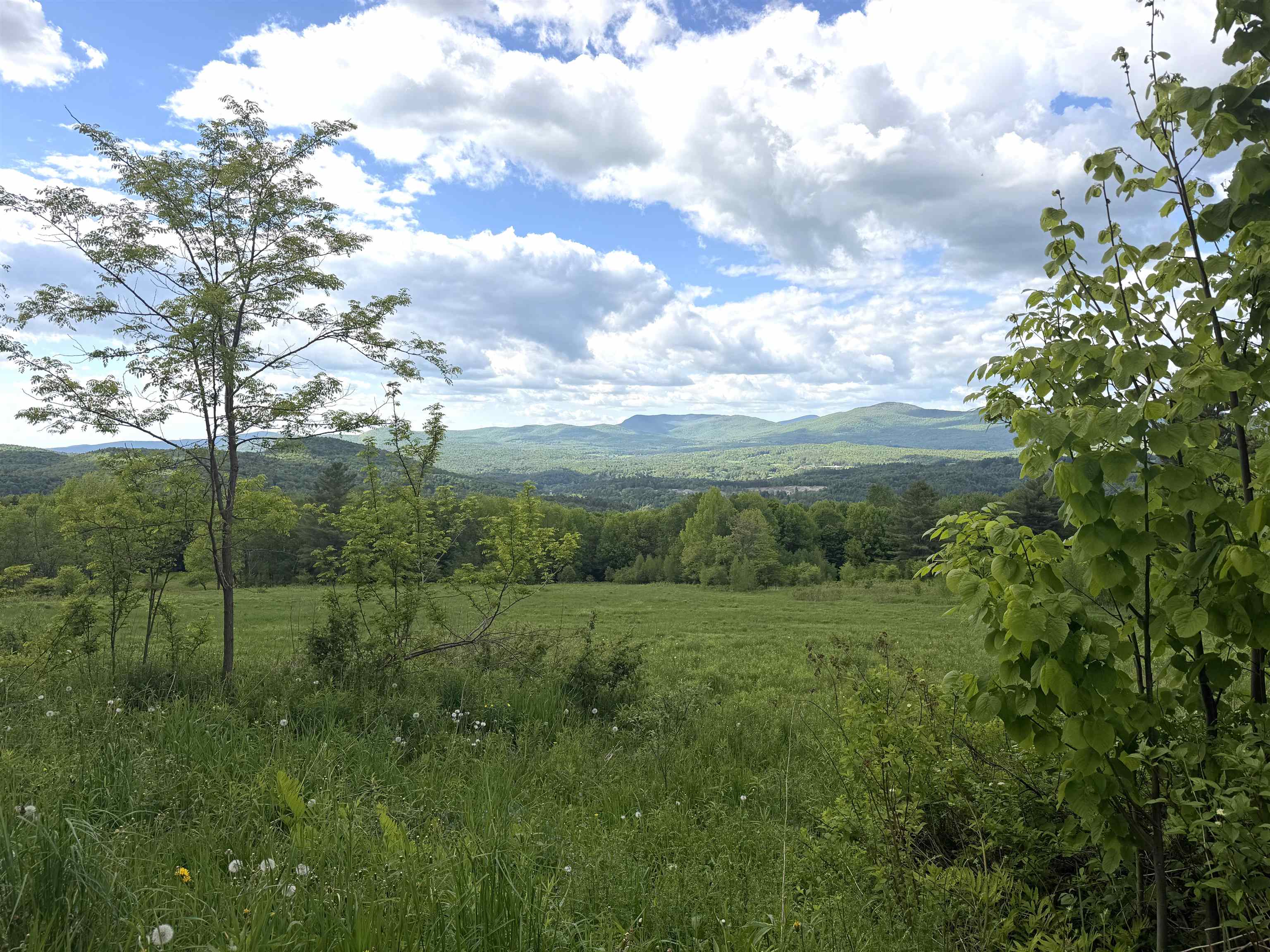 877 Grow Road Property Photo 18