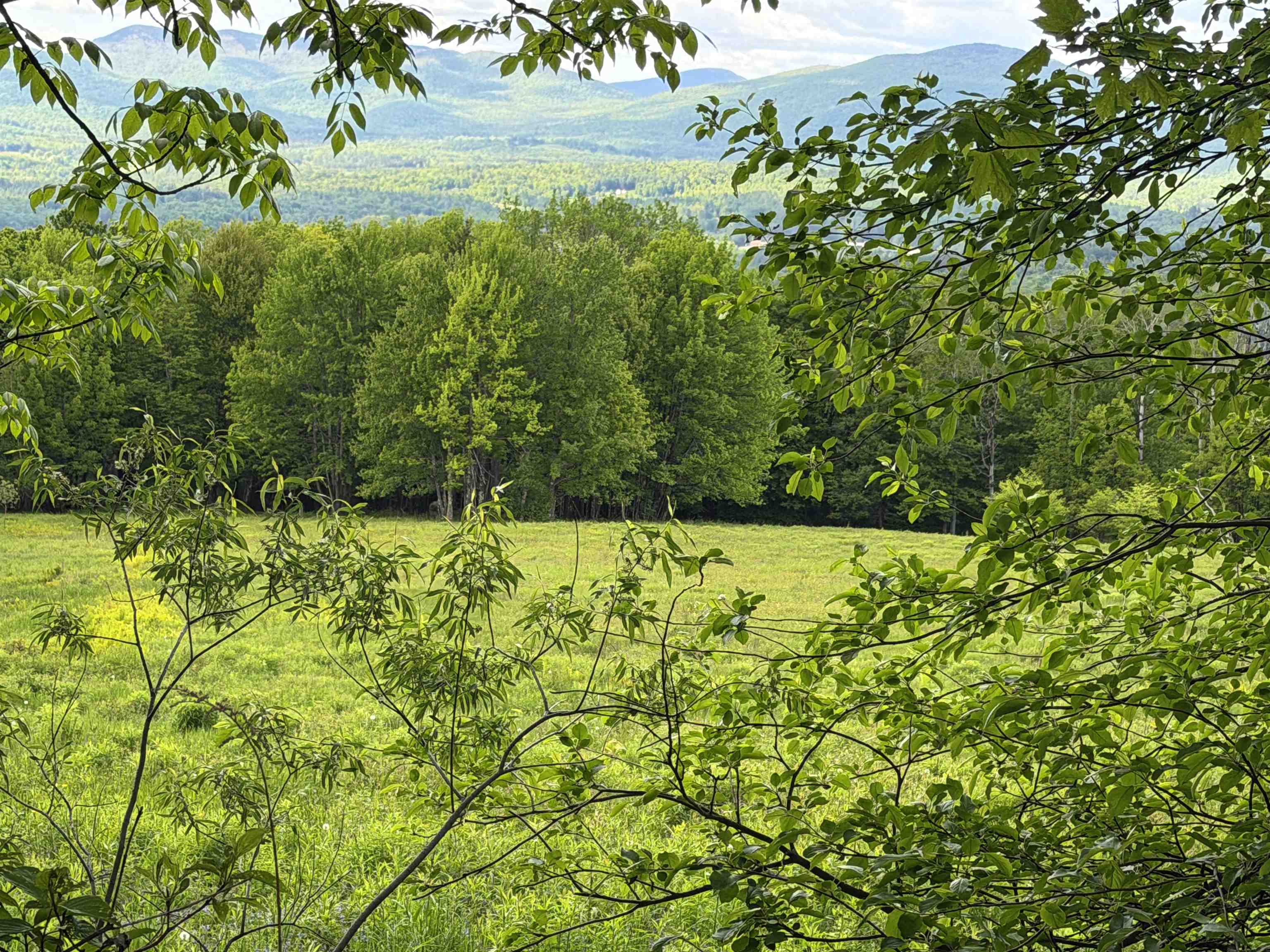 877 Grow Road Property Photo 19