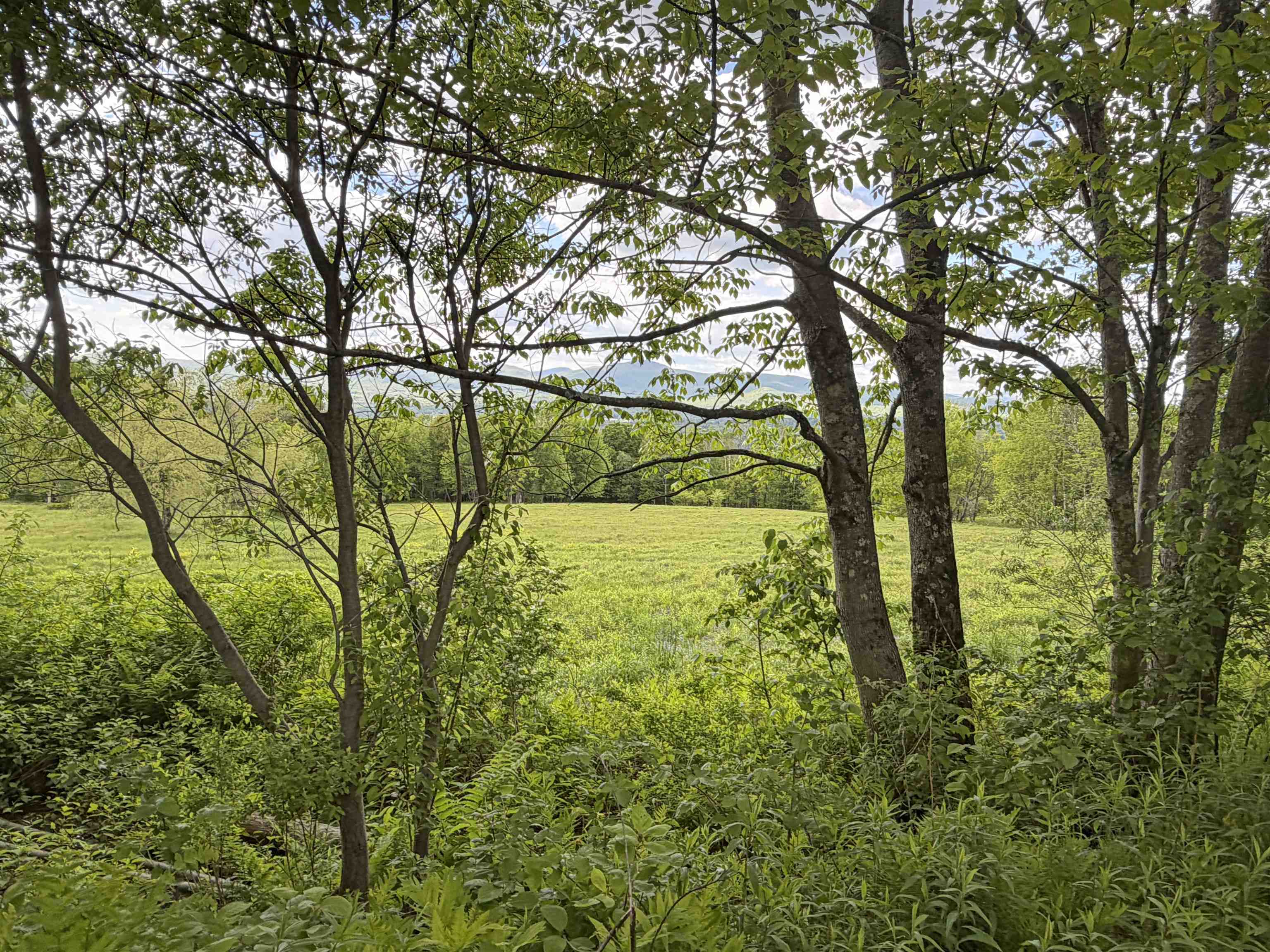 877 Grow Road Property Photo 20