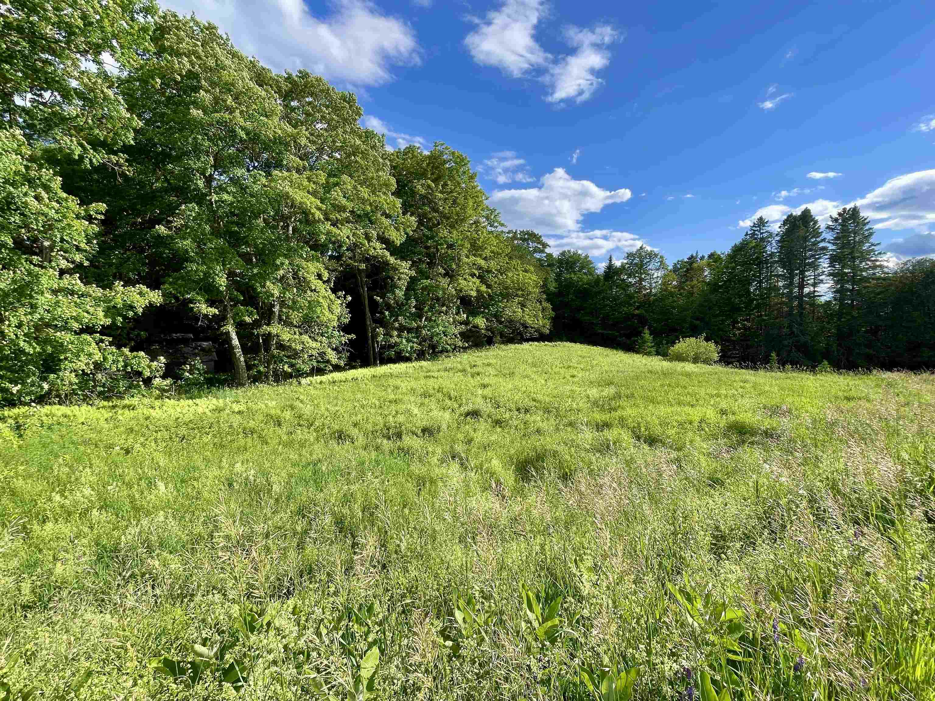 00 Old Farm Road Property Photo 3