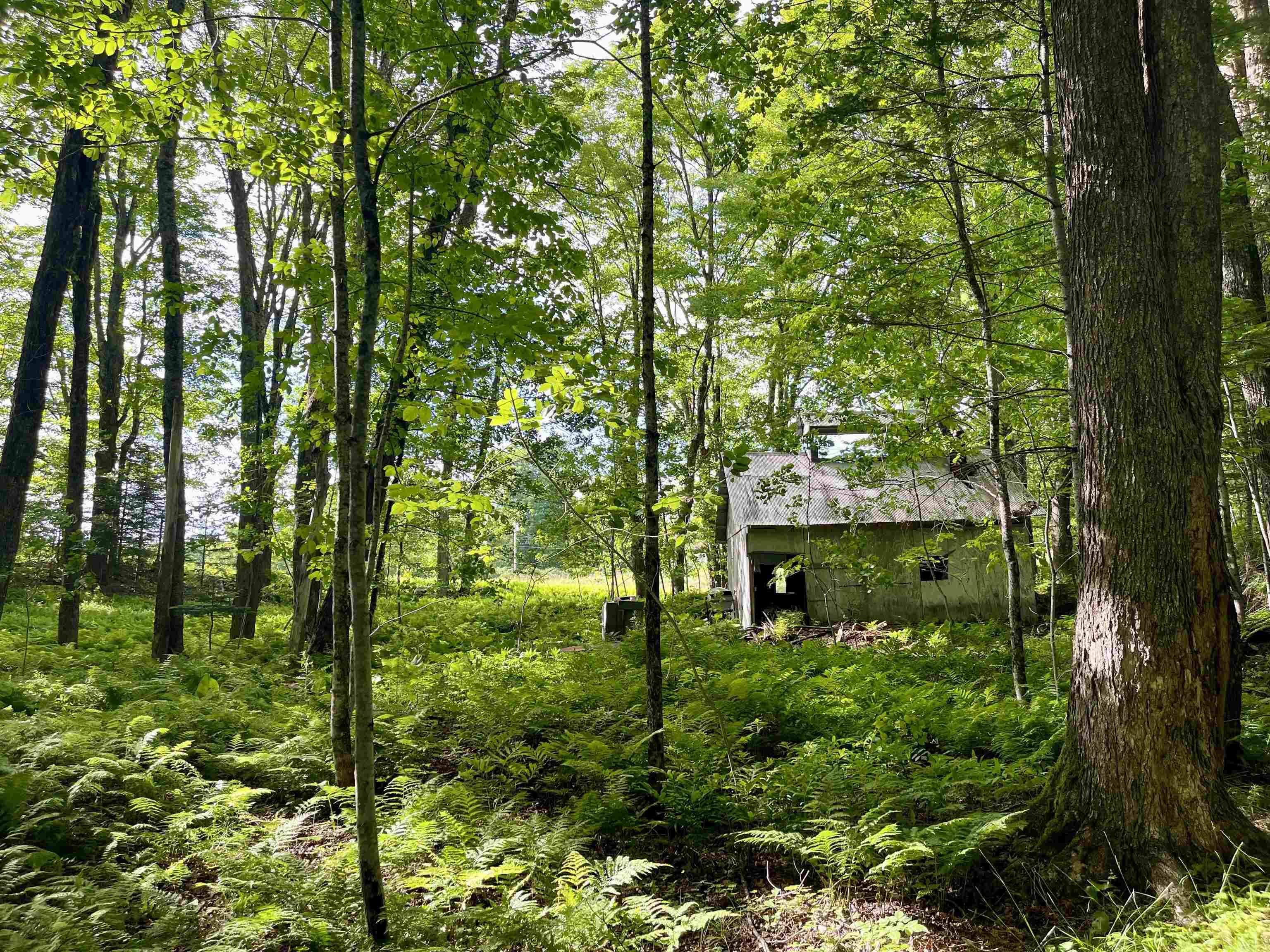 00 Old Farm Road Property Photo 4